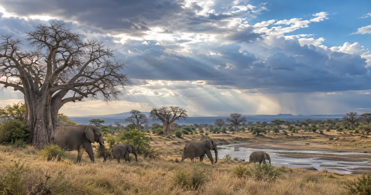 Éléphants du Tarangire sous les ciels de juin
