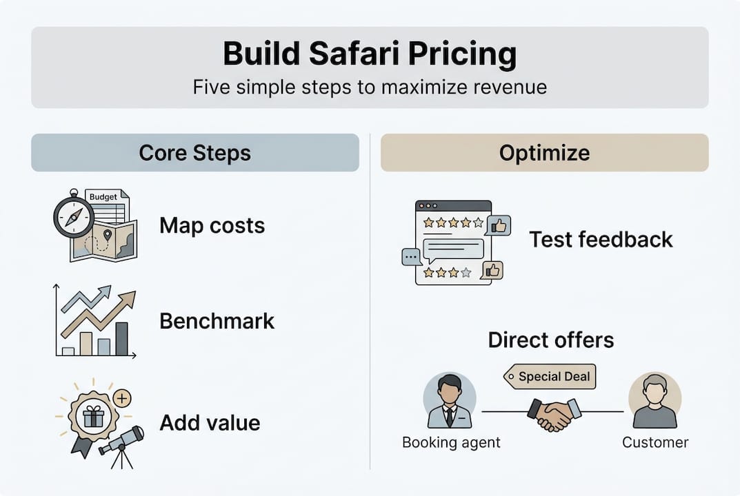 Infografía de cinco pasos de estrategia de precios de safari