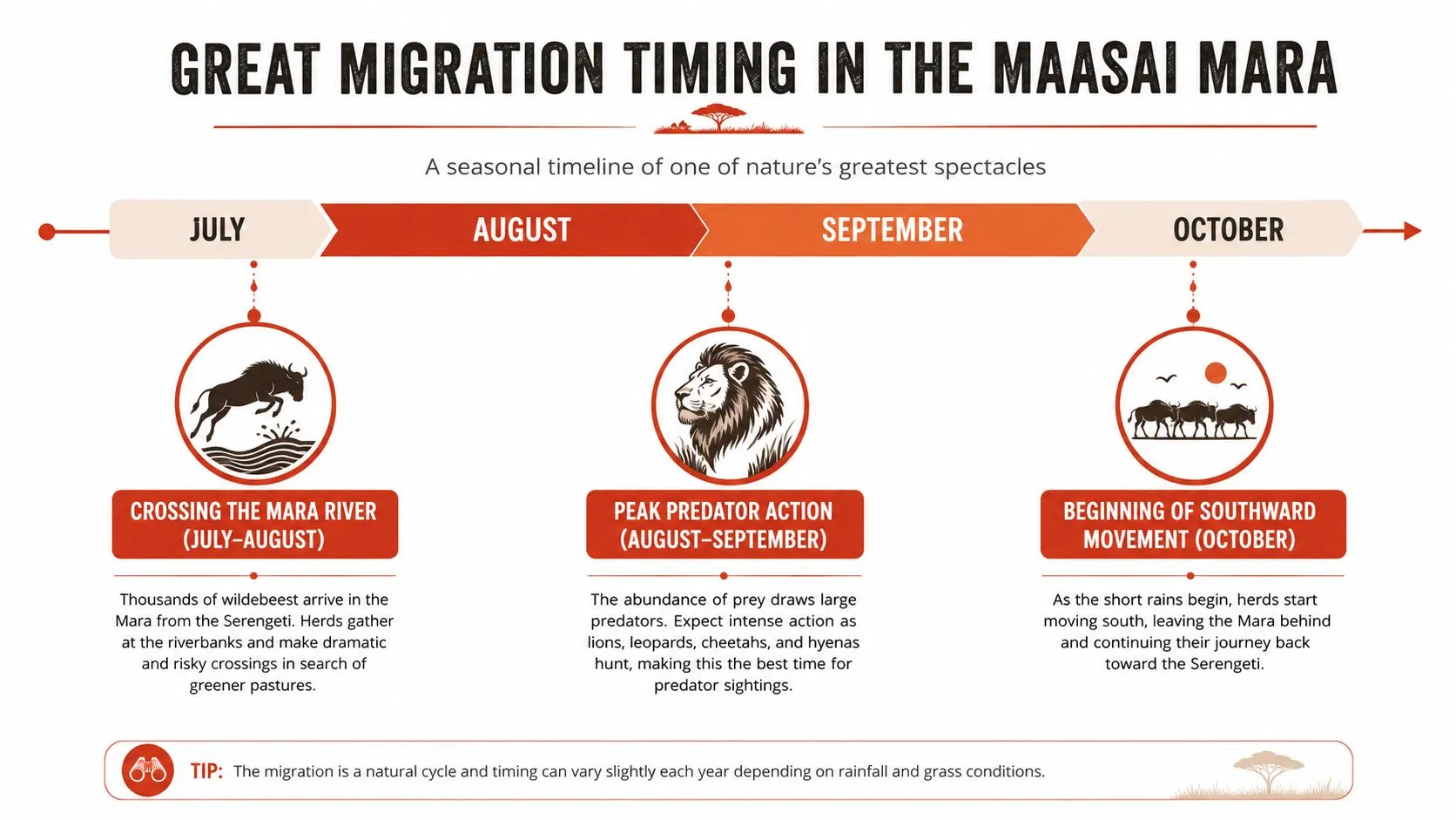 Un gráfico de línea temporal que muestra la migración estacional de ñus a través del Maasai Mara de julio a octubre.