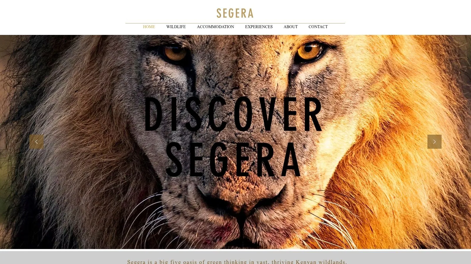 Segera Retreat