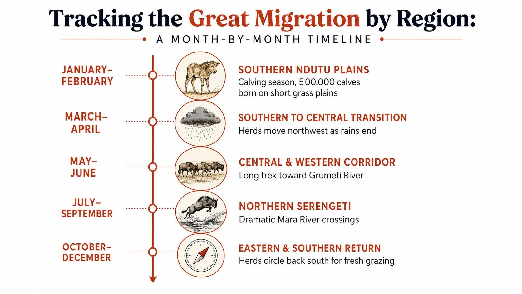 Un graphique chronologique montrant la Grande Migration des gnous à travers le Serengeti tout au long de l’année, par région.