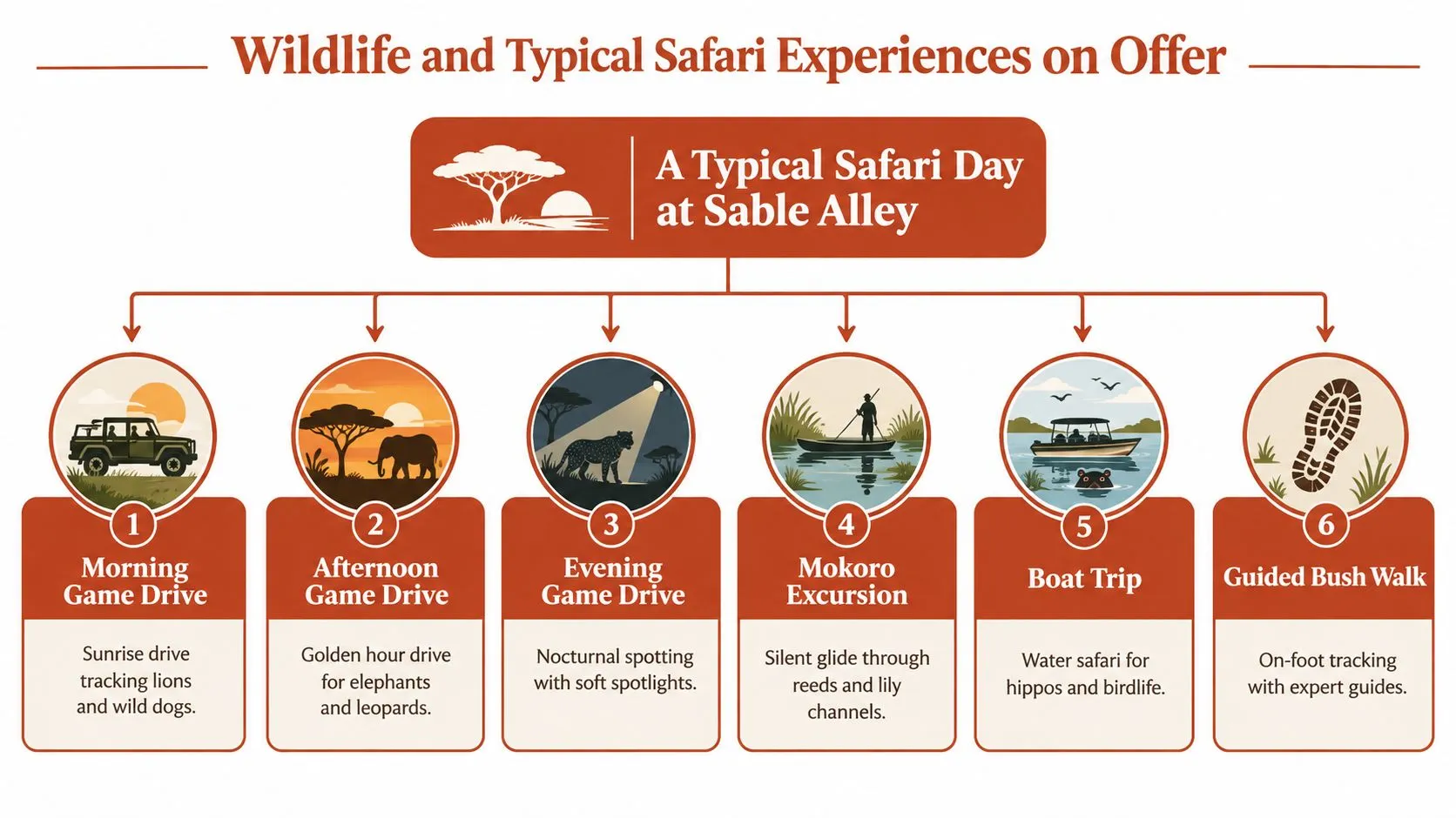 A infographic chart illustrating six different wildlife safari activities available at Sable Alley in Botswana.
