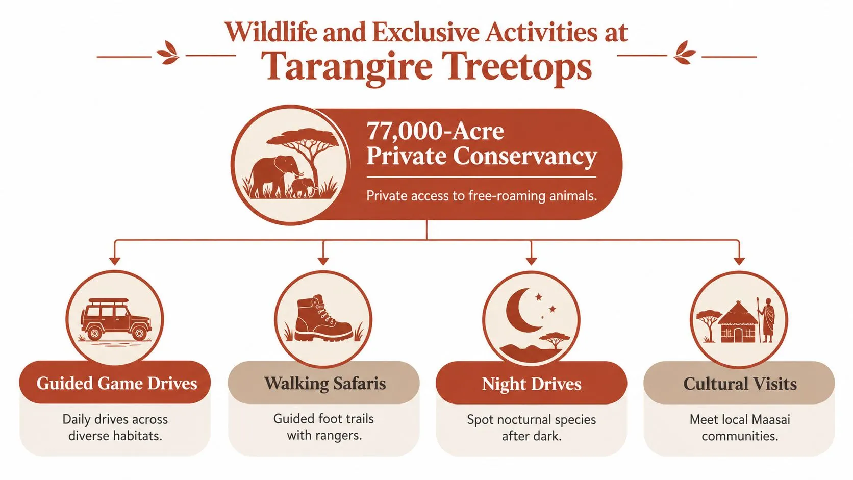 An infographic detailing the exclusive wildlife activities offered at the 77,000-acre Tarangire Treetops private conservancy in Tanzania.