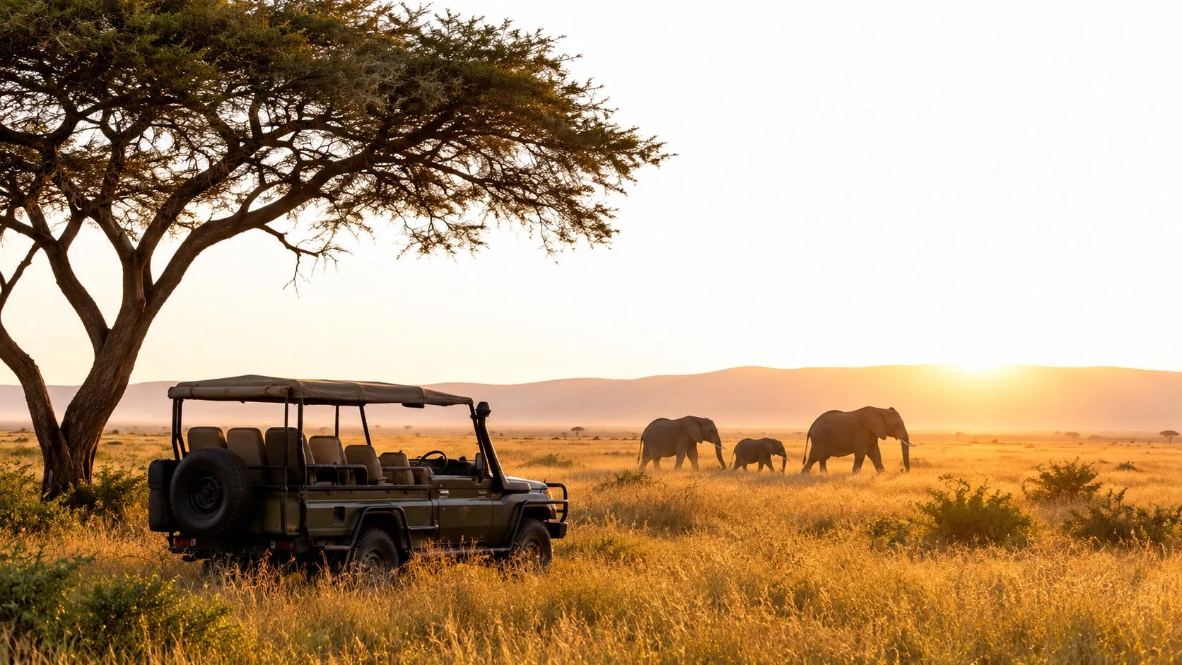 Un vehículo de safari estacionado bajo una gran acacia con elefantes caminando al fondo en un atardecer dorado.