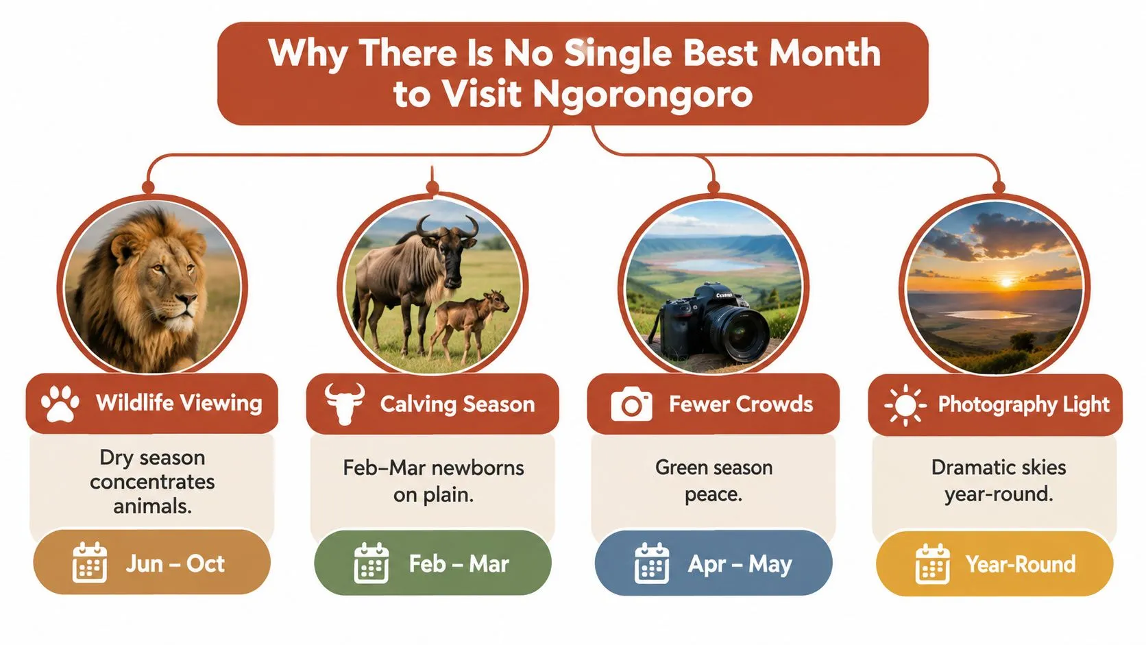 Una infografía que muestra las mejores épocas para visitar el Cráter del Ngorongoro según la fauna, la naturaleza y la fotografía.