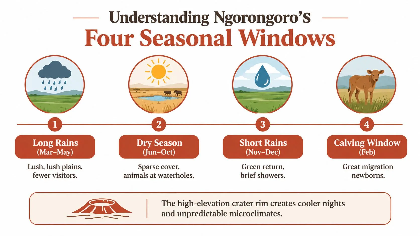 Una infografía que muestra las cuatro ventanas estacionales para visitar el Cráter del Ngorongoro en Tanzania a lo largo del año.