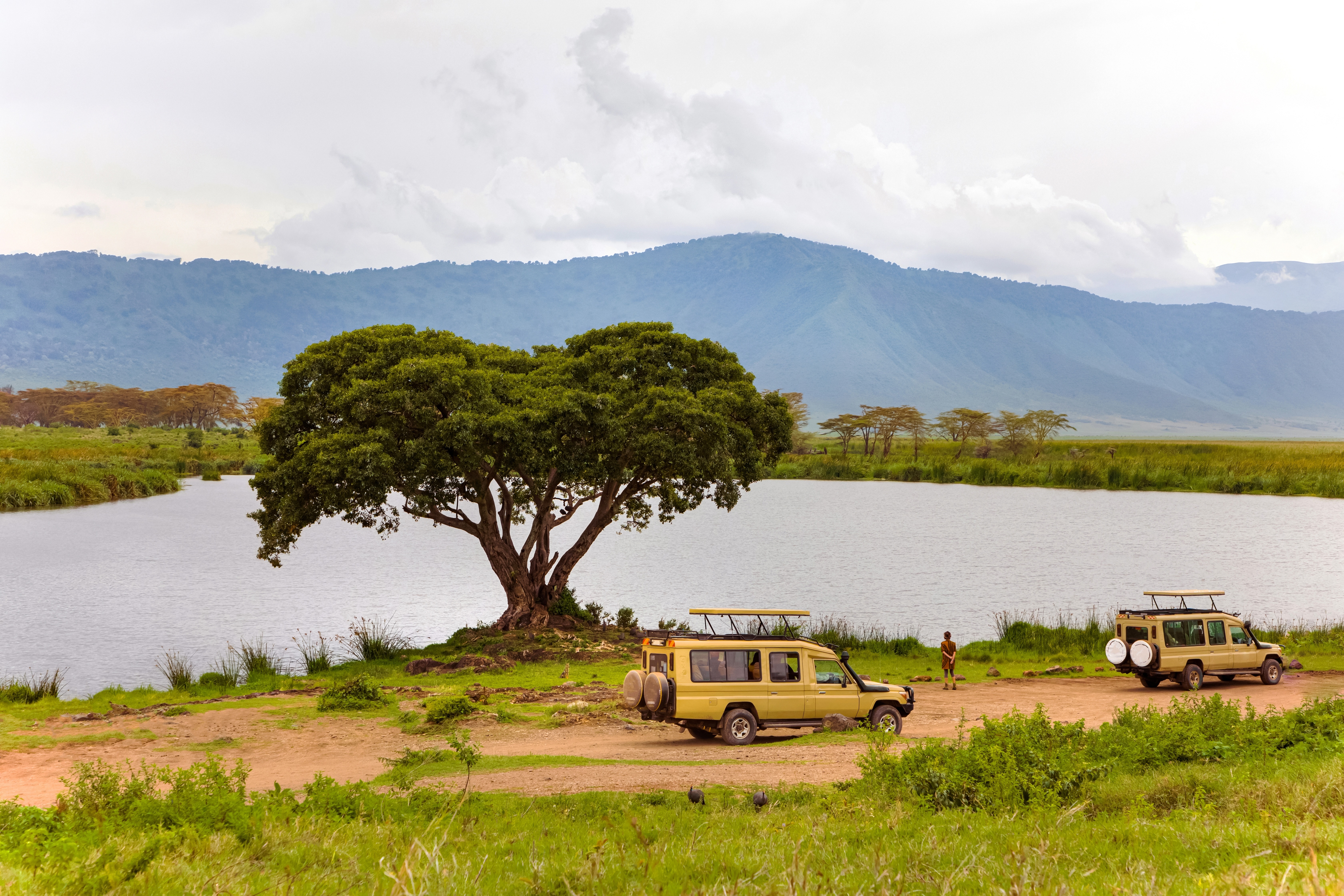 Safari SUVs by the lake in a Tanzania
