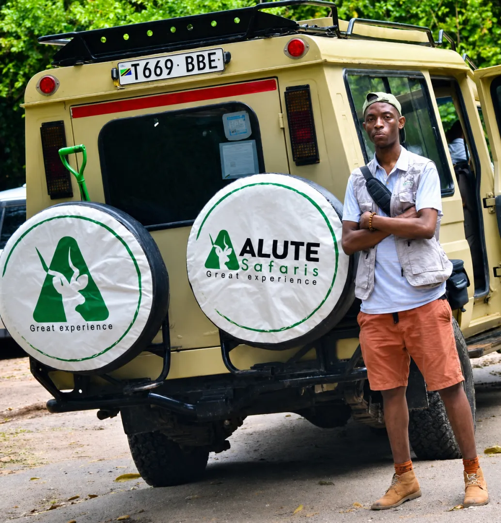 Alute Safaris
