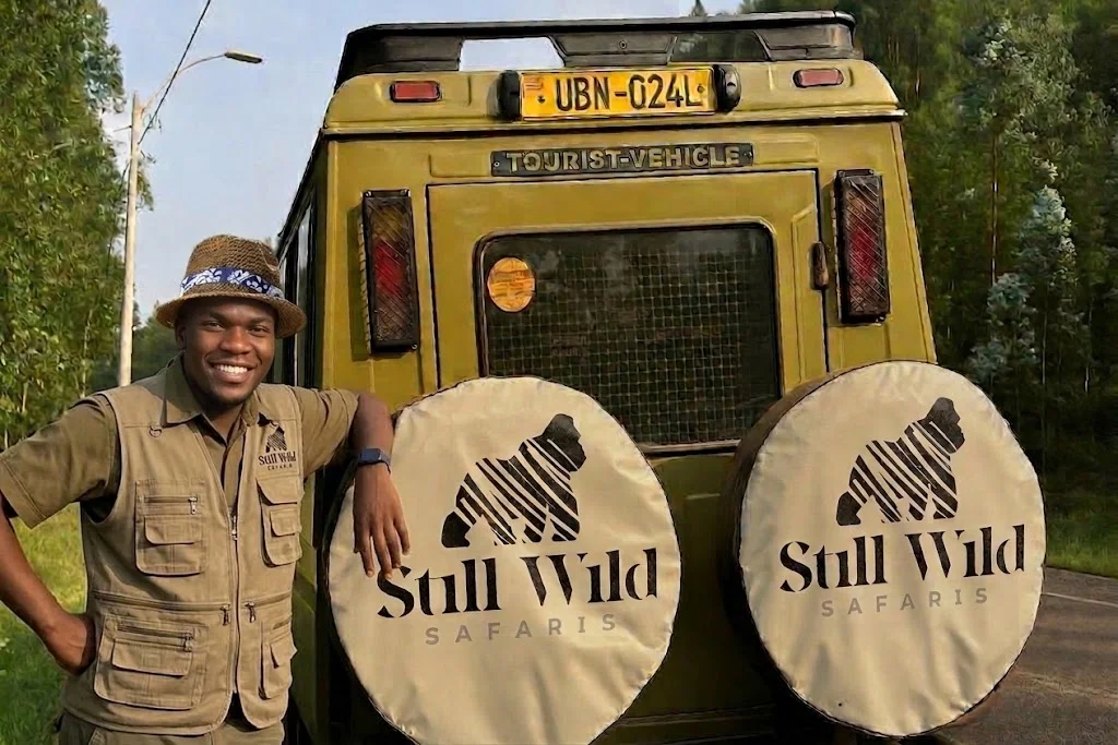 Still Wild Safaris