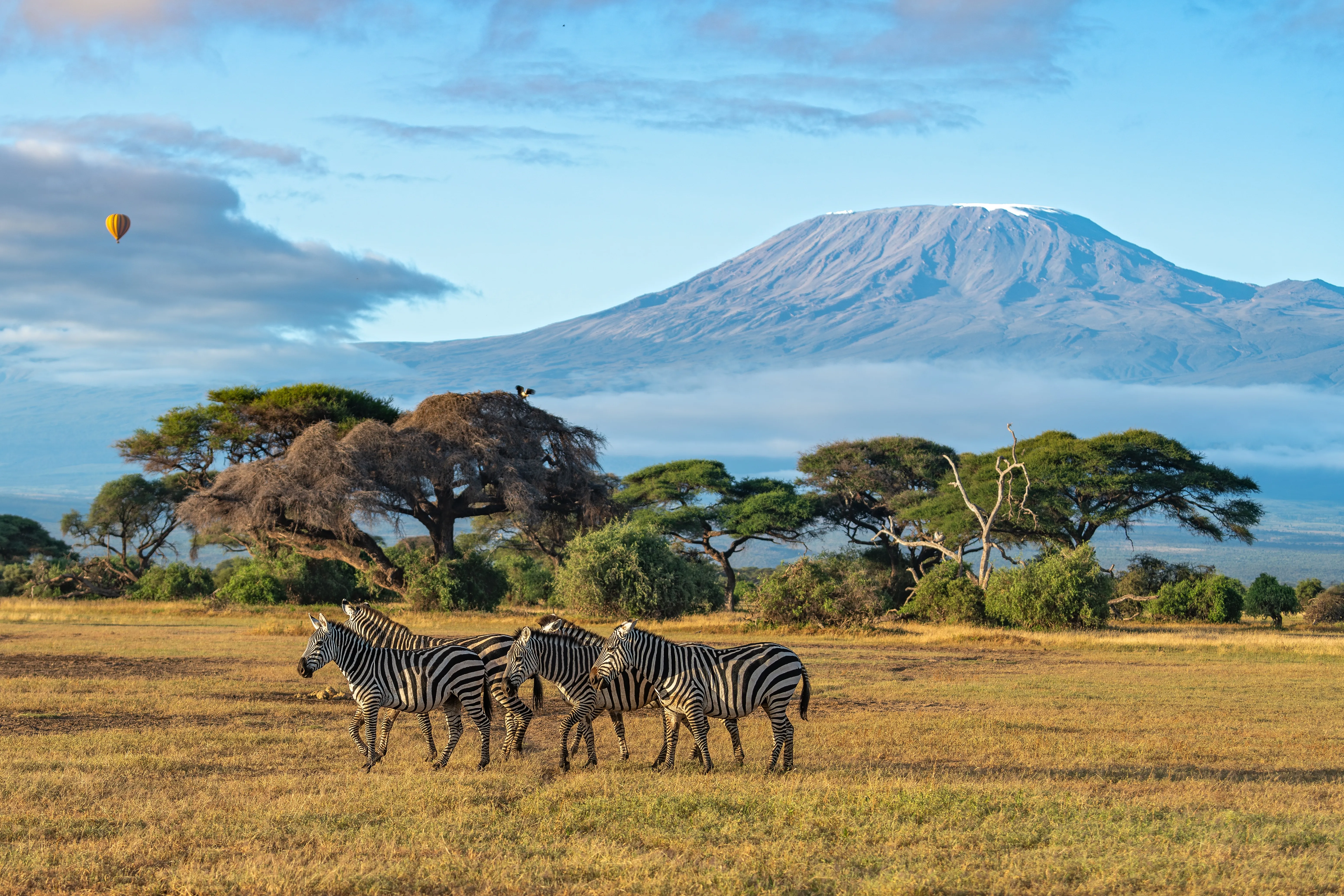 Safari in Kenya