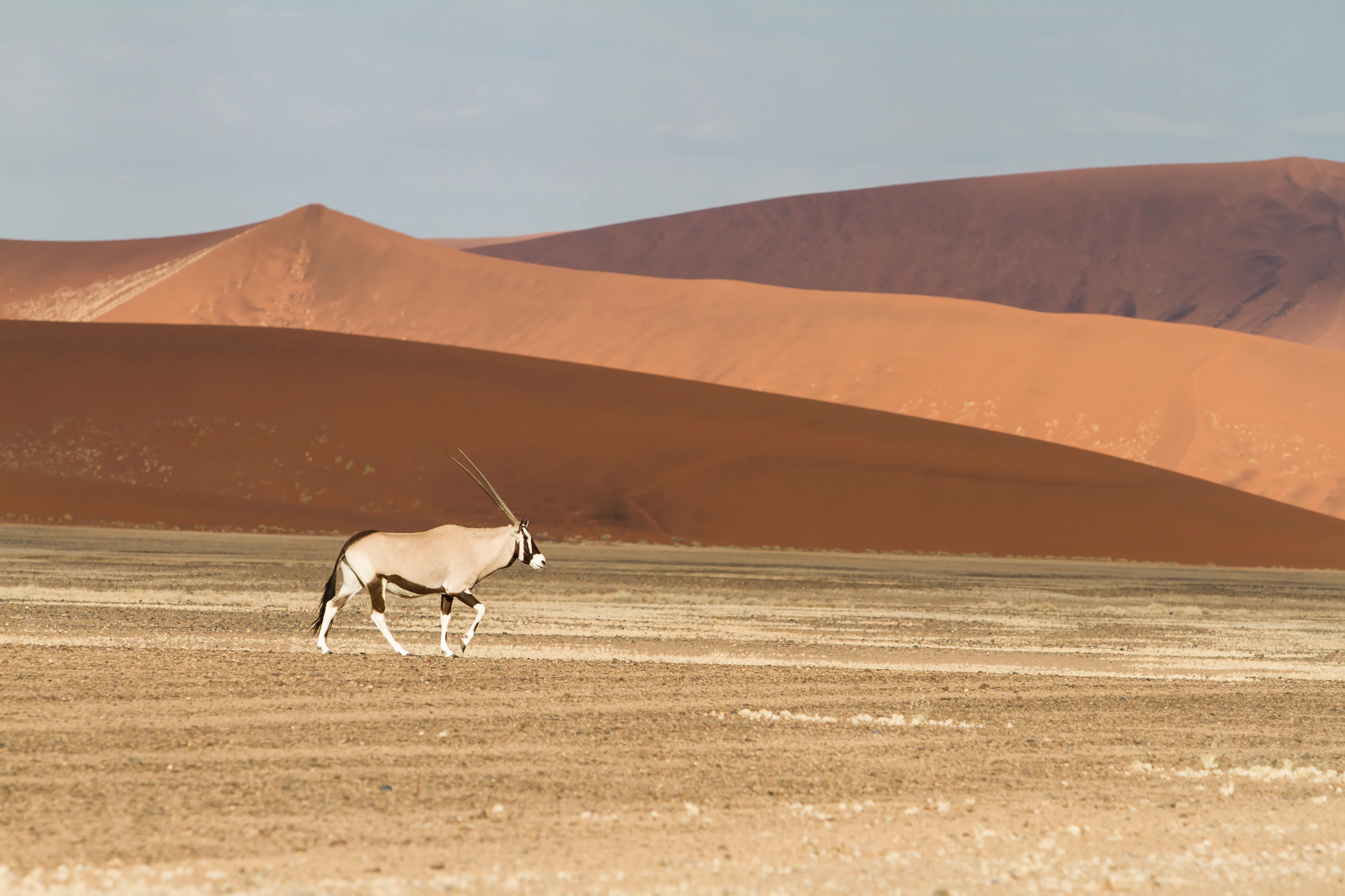 Namib-Naukluft National Park