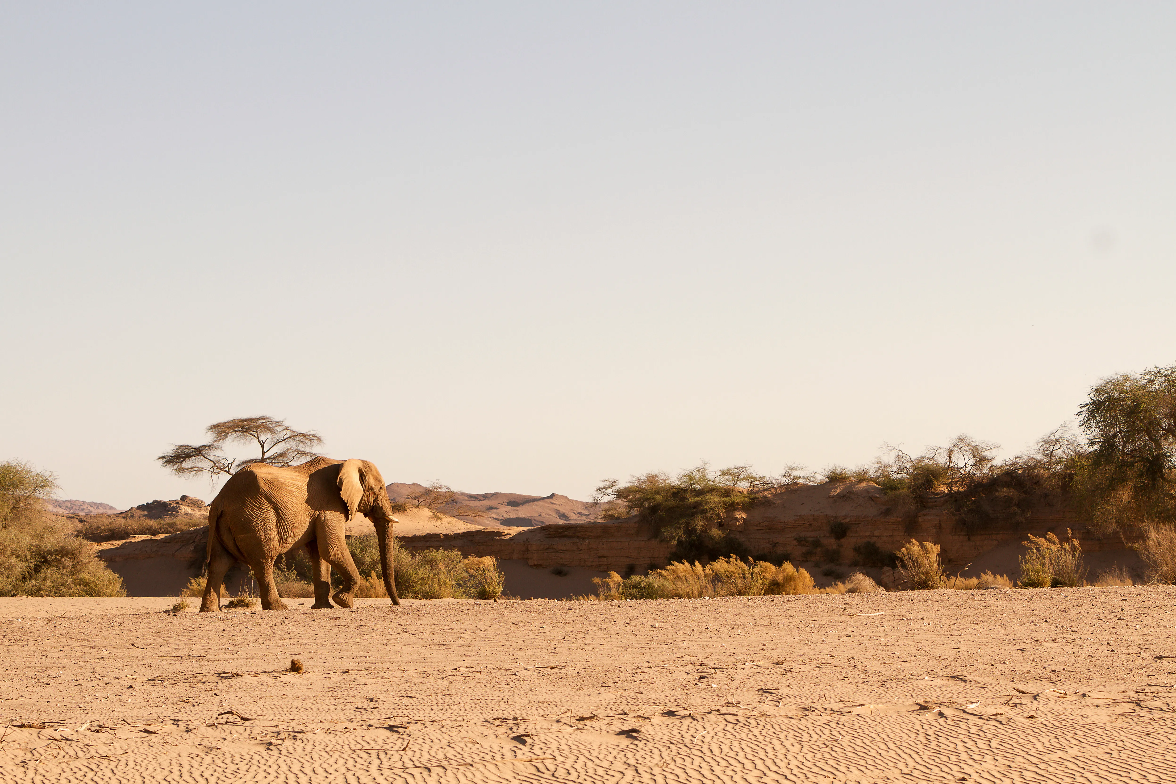 Skeleton Coast National Park