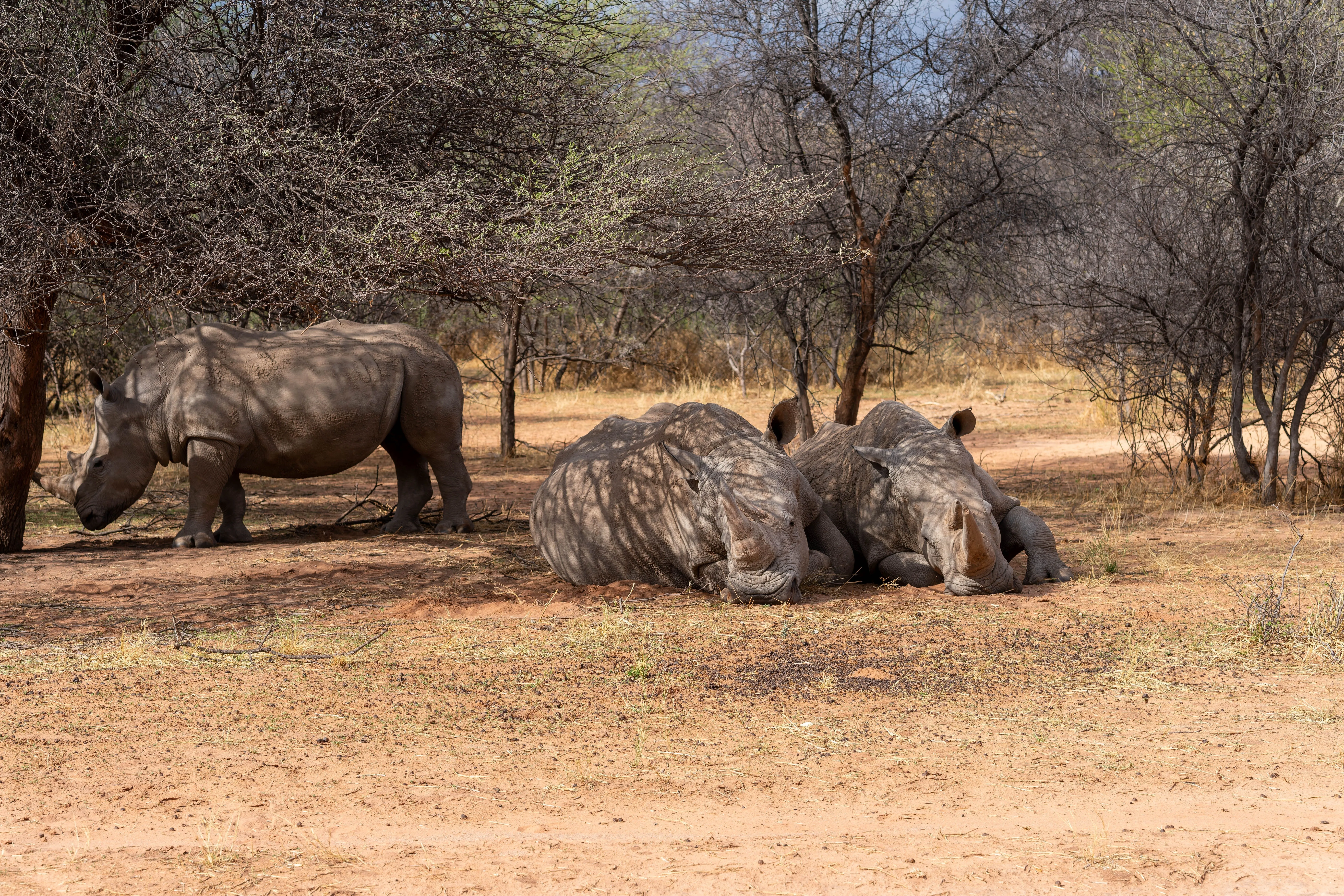 Waterberg Plateau Park