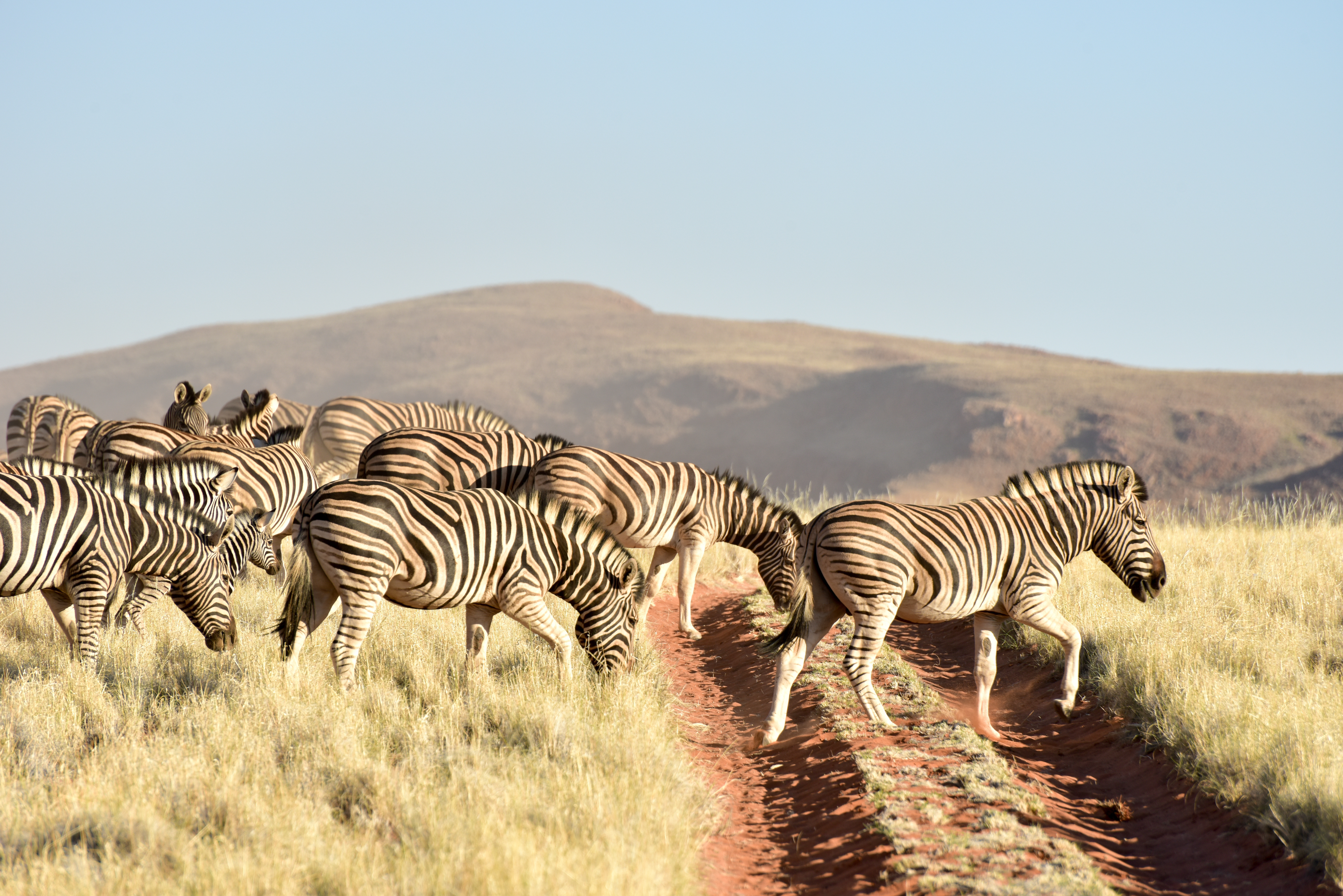 NamibRand Nature Reserve