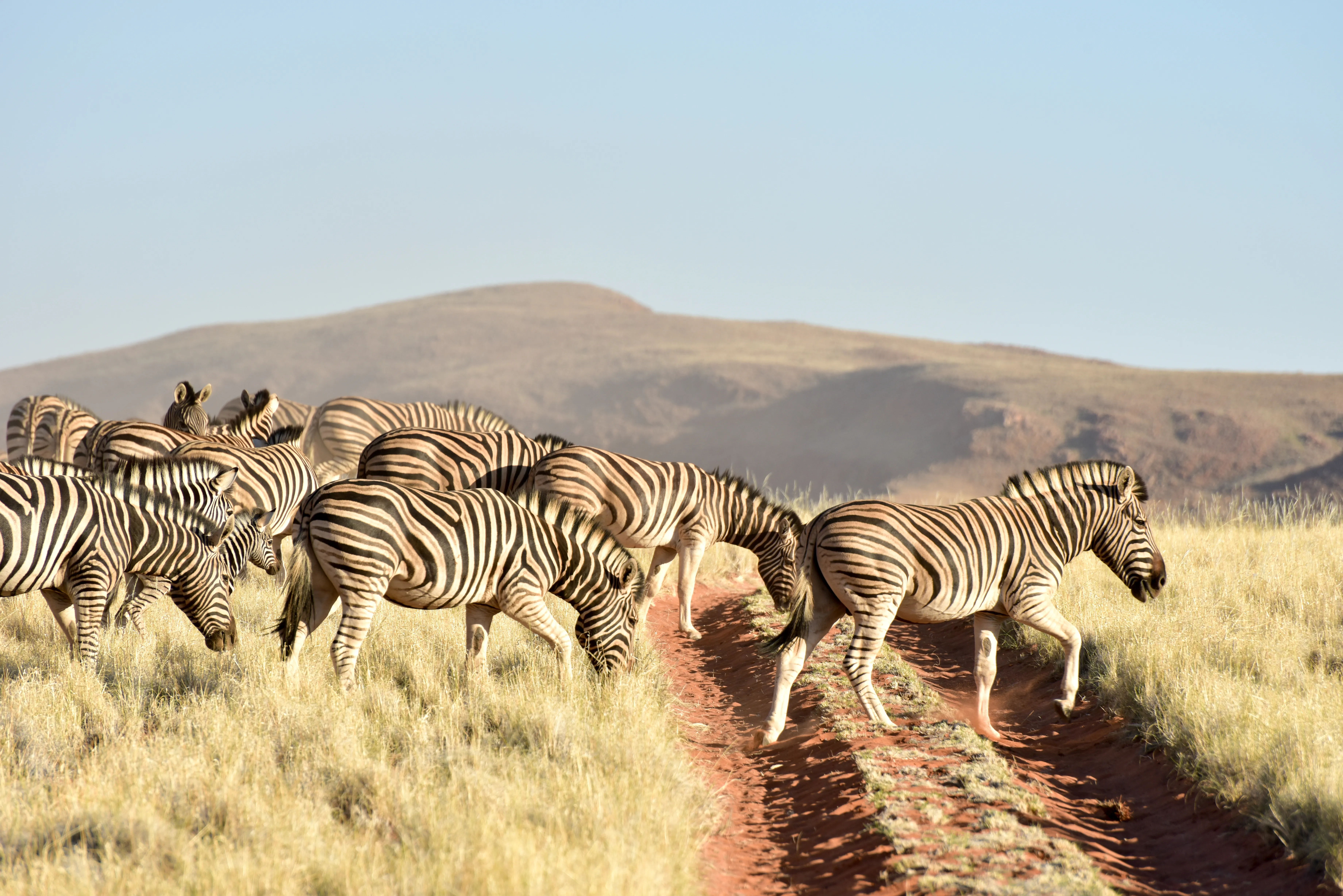NamibRand Nature Reserve