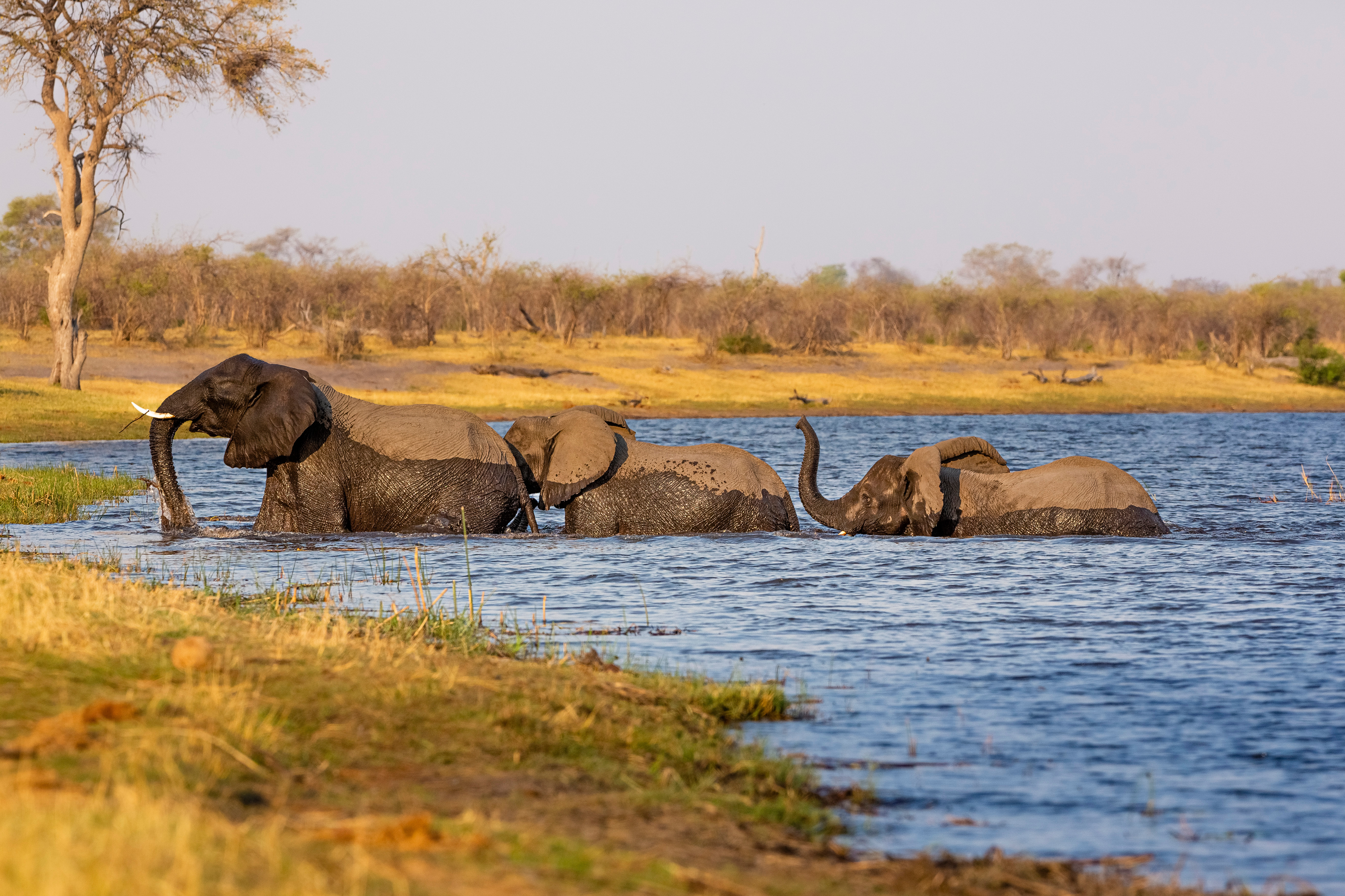Mudumu National Park