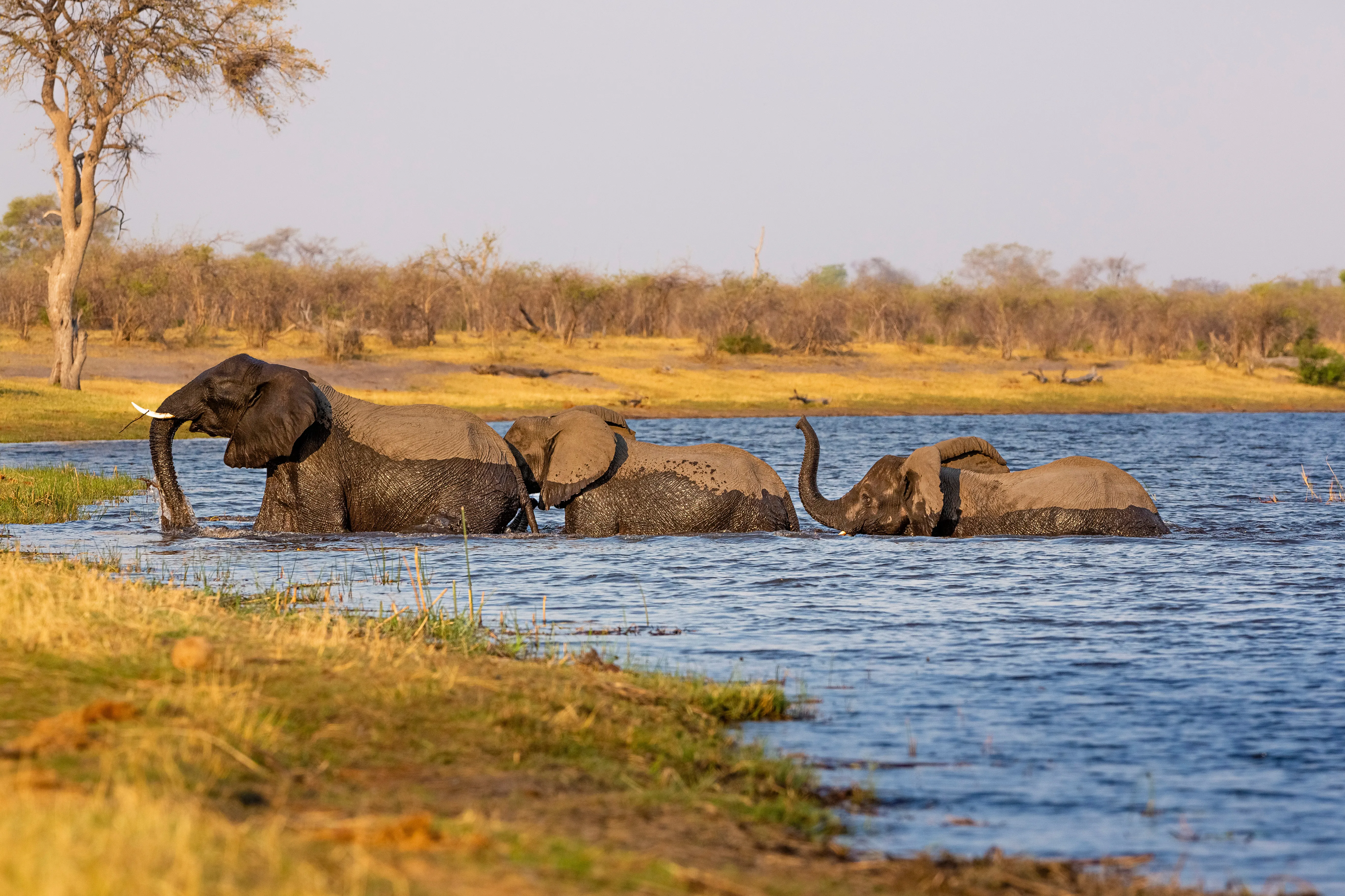 Mudumu National Park