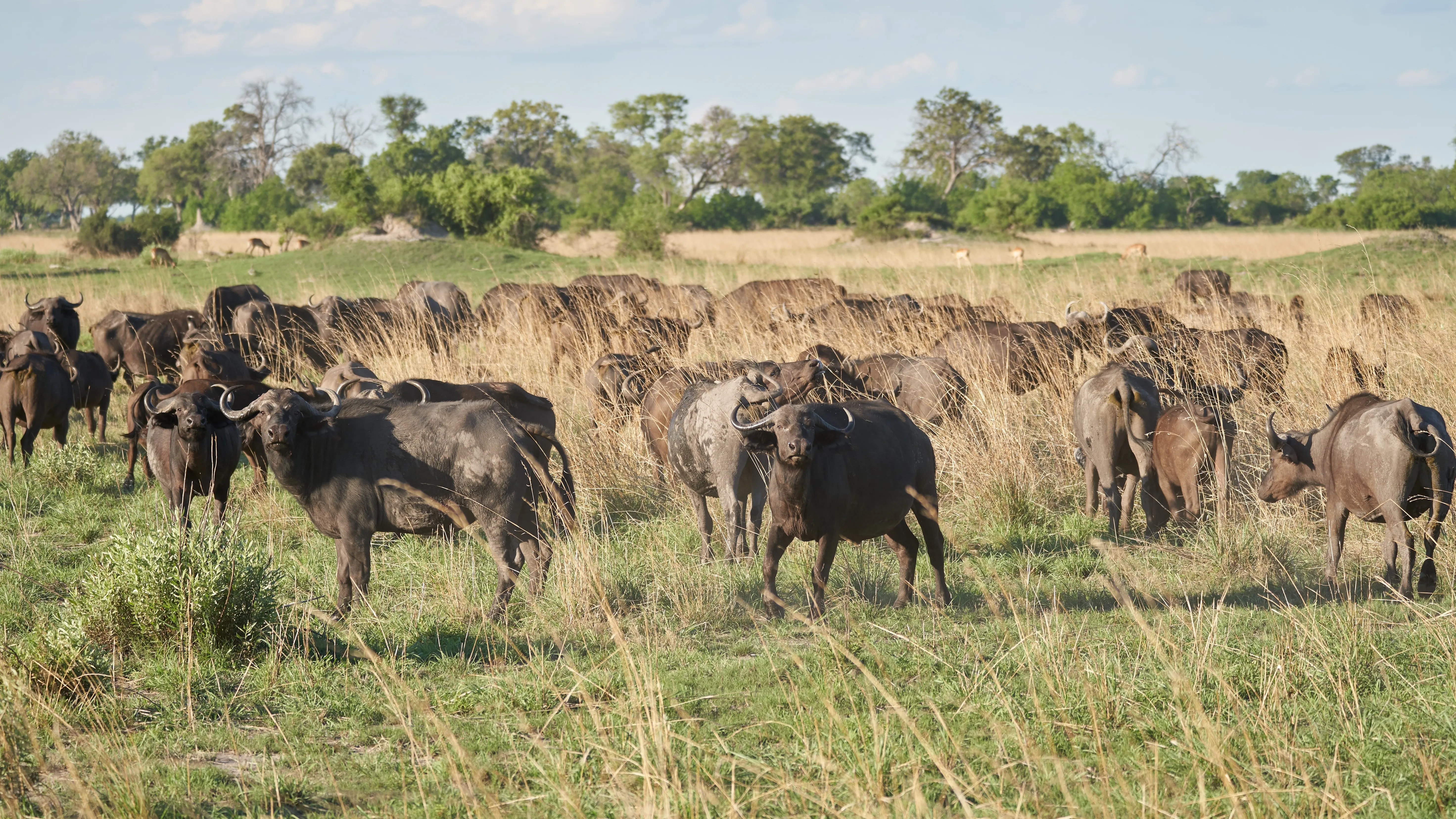 Nkasa Rupara (Mamili) National Park