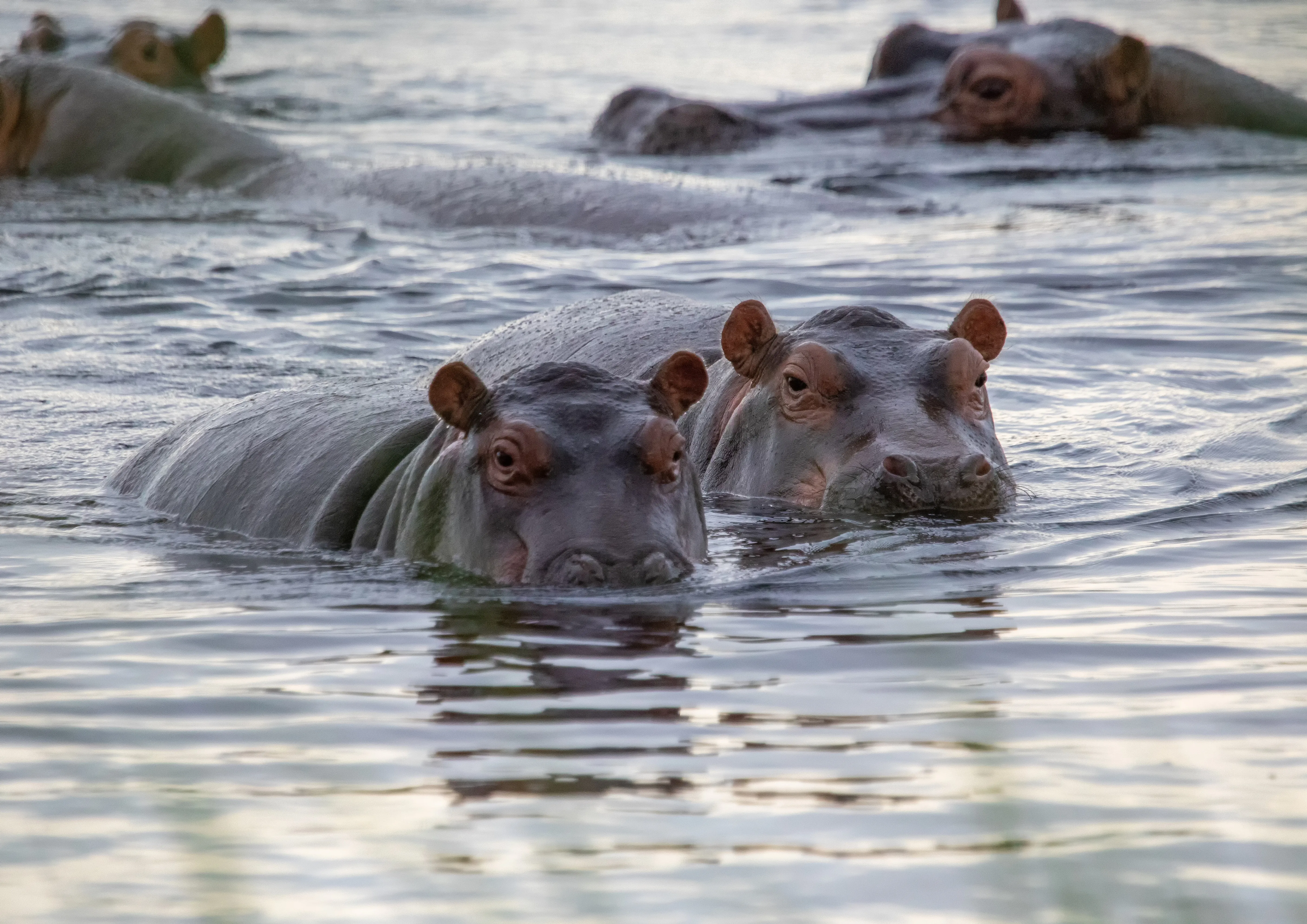 Bwabwata National Park