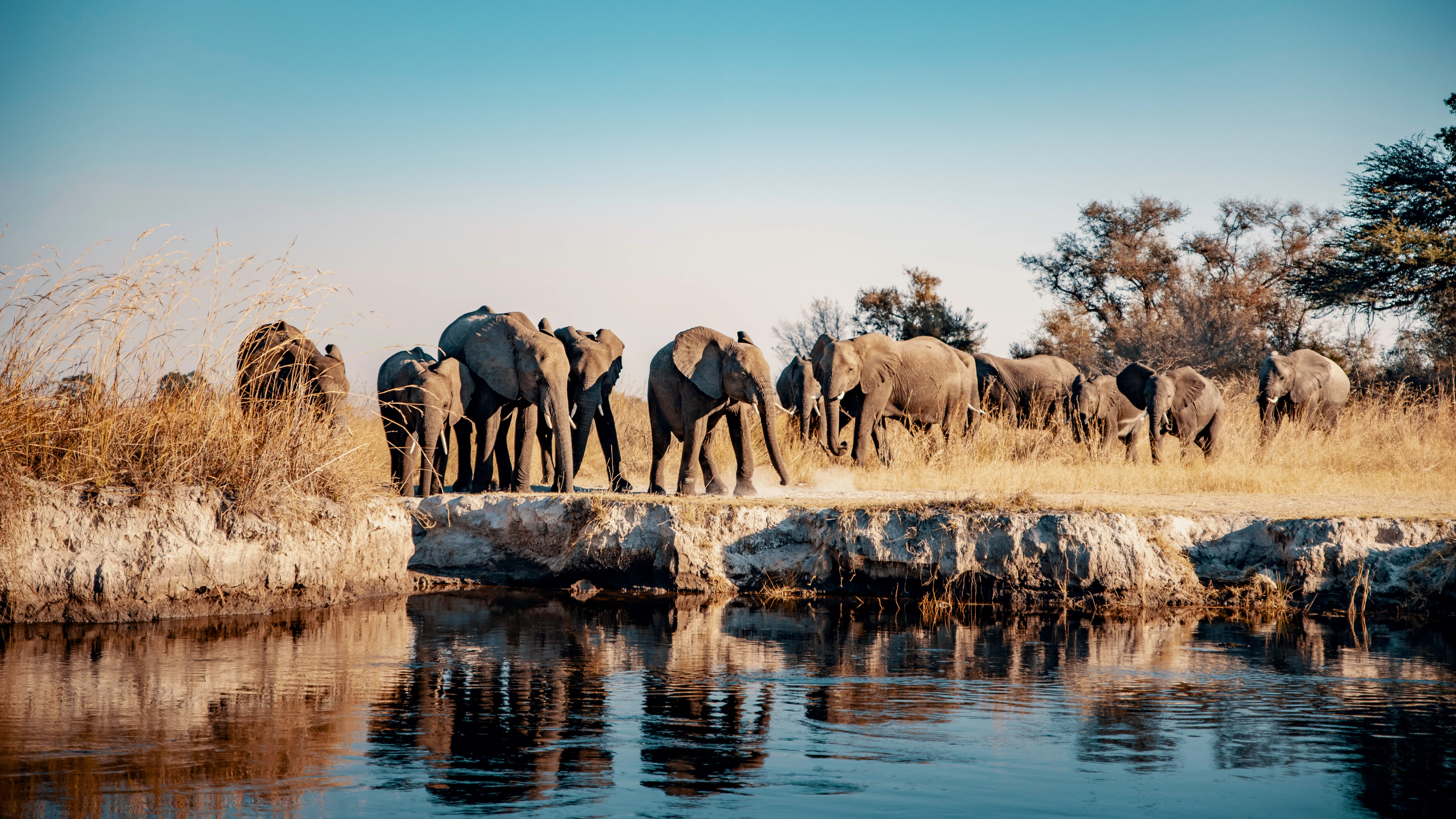 Zambezi Region (Caprivi Strip)