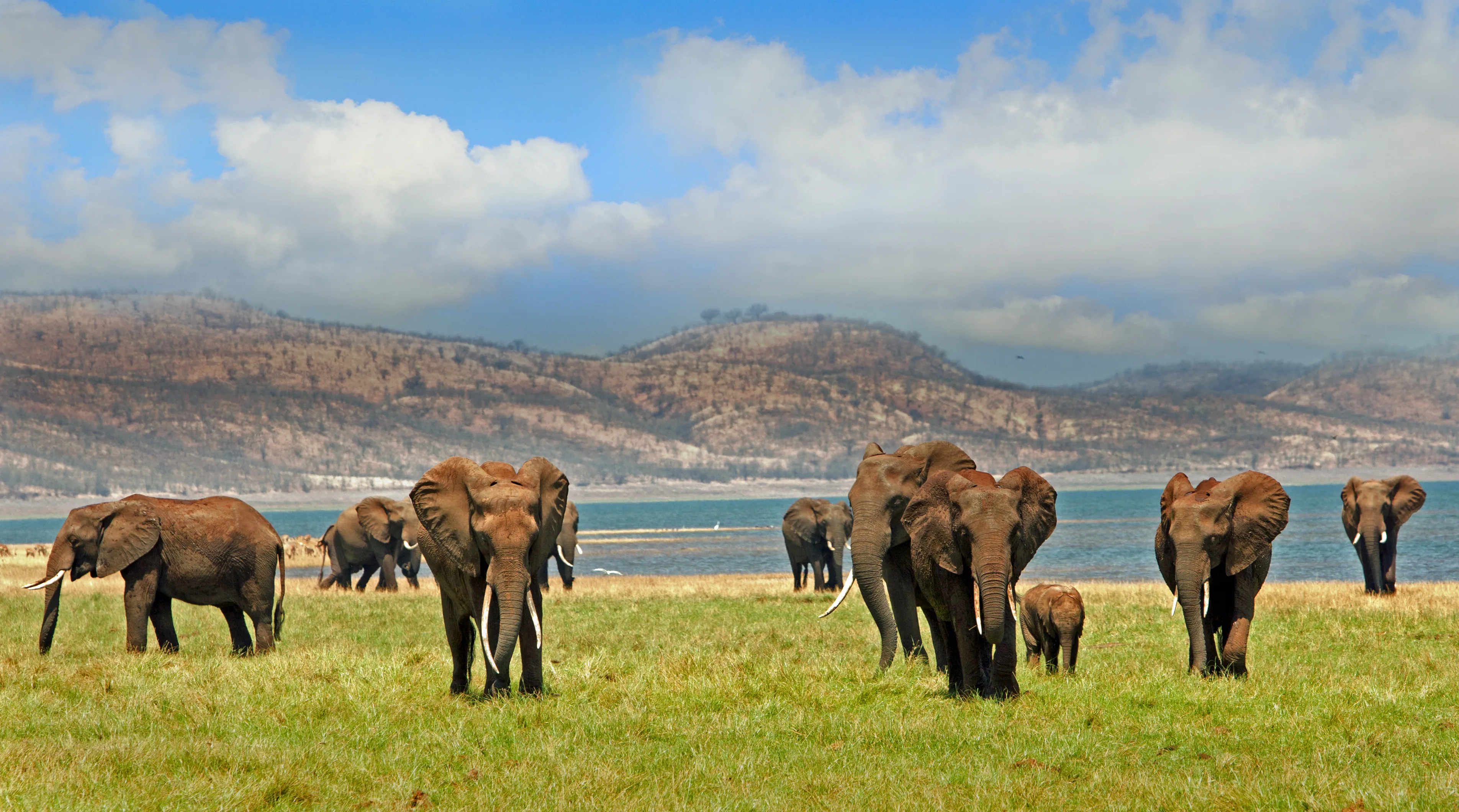 Matusadona National Park
