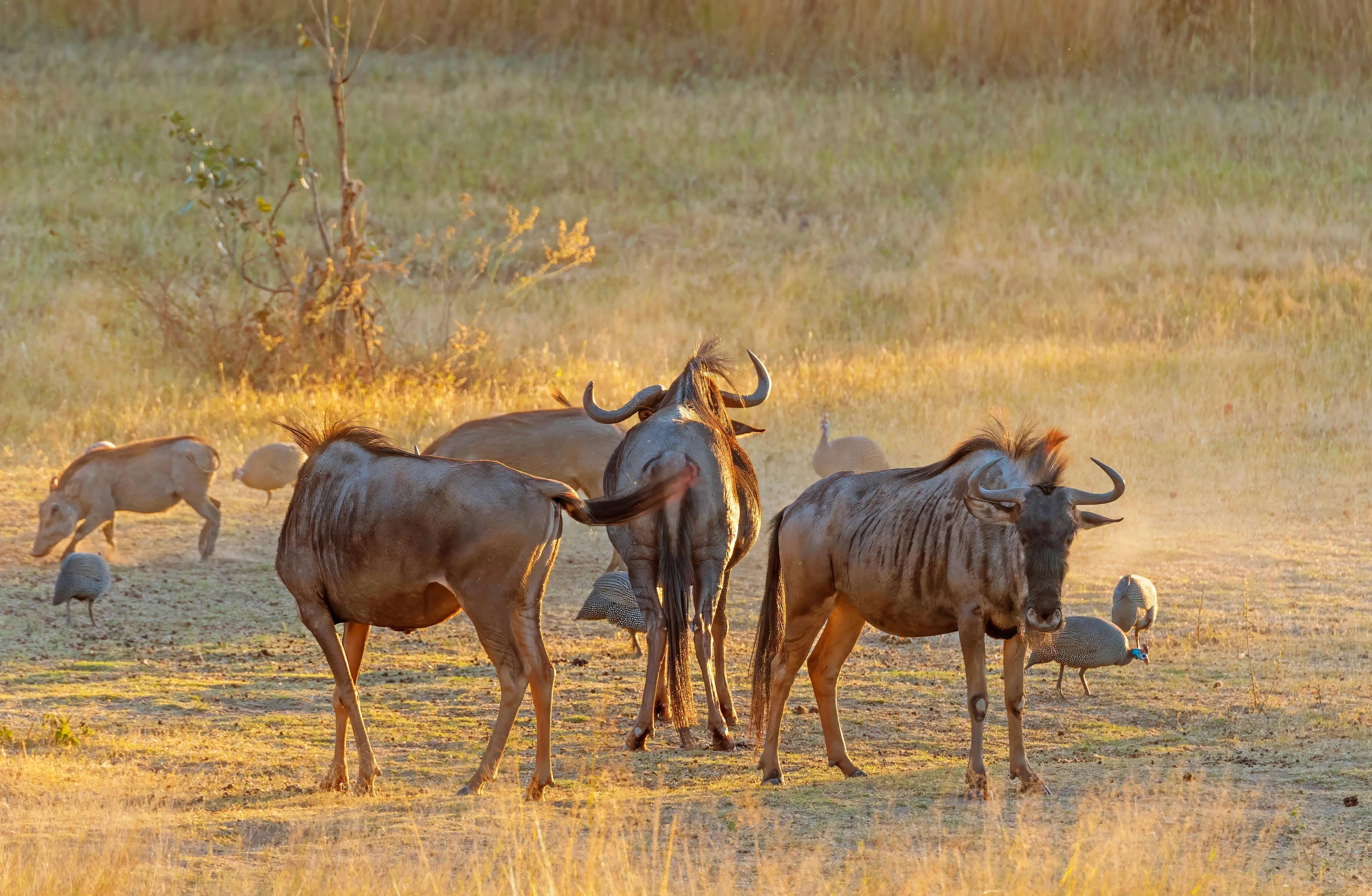 Matobo National Park