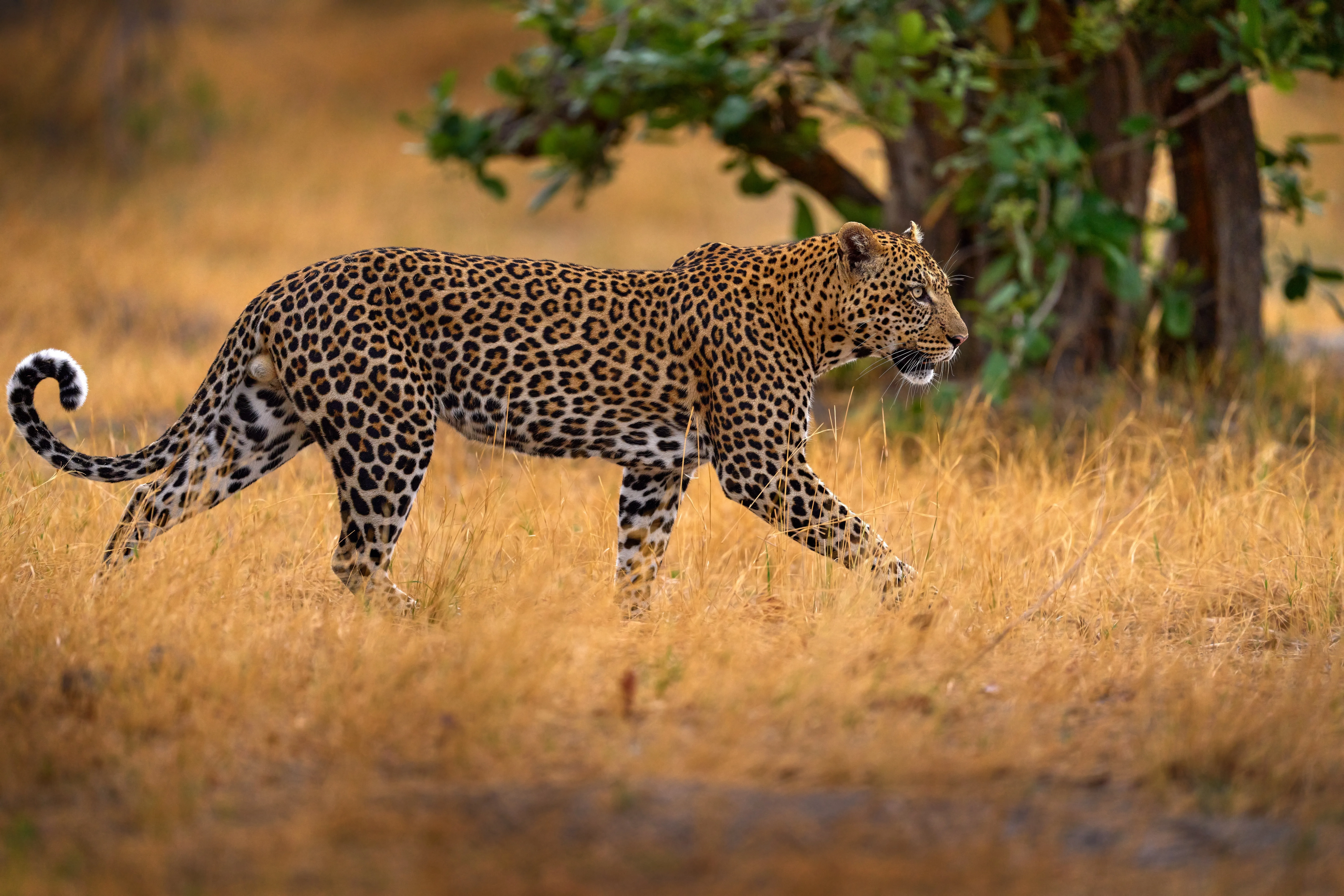 Chizarira National Park