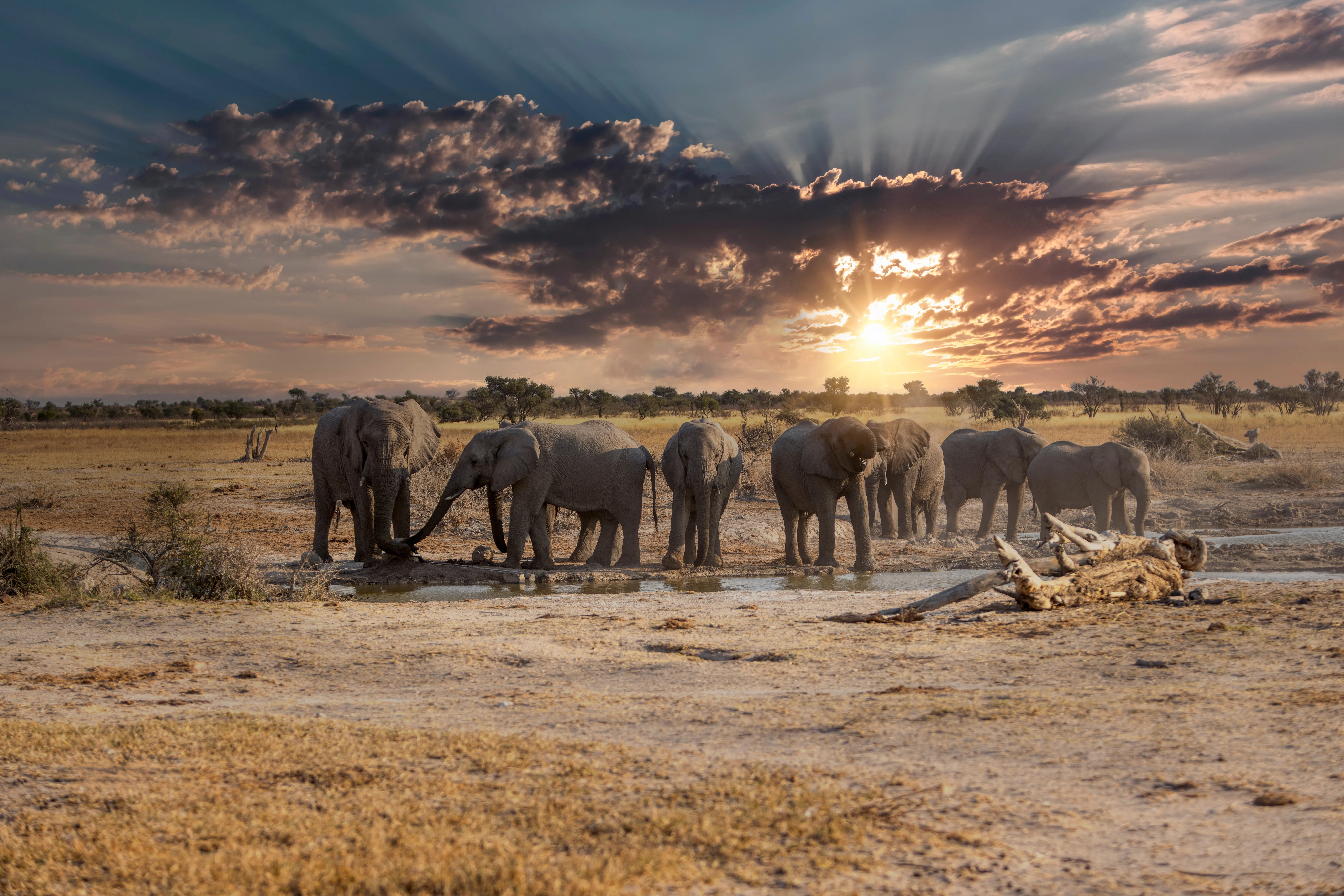Khutse Game Reserve