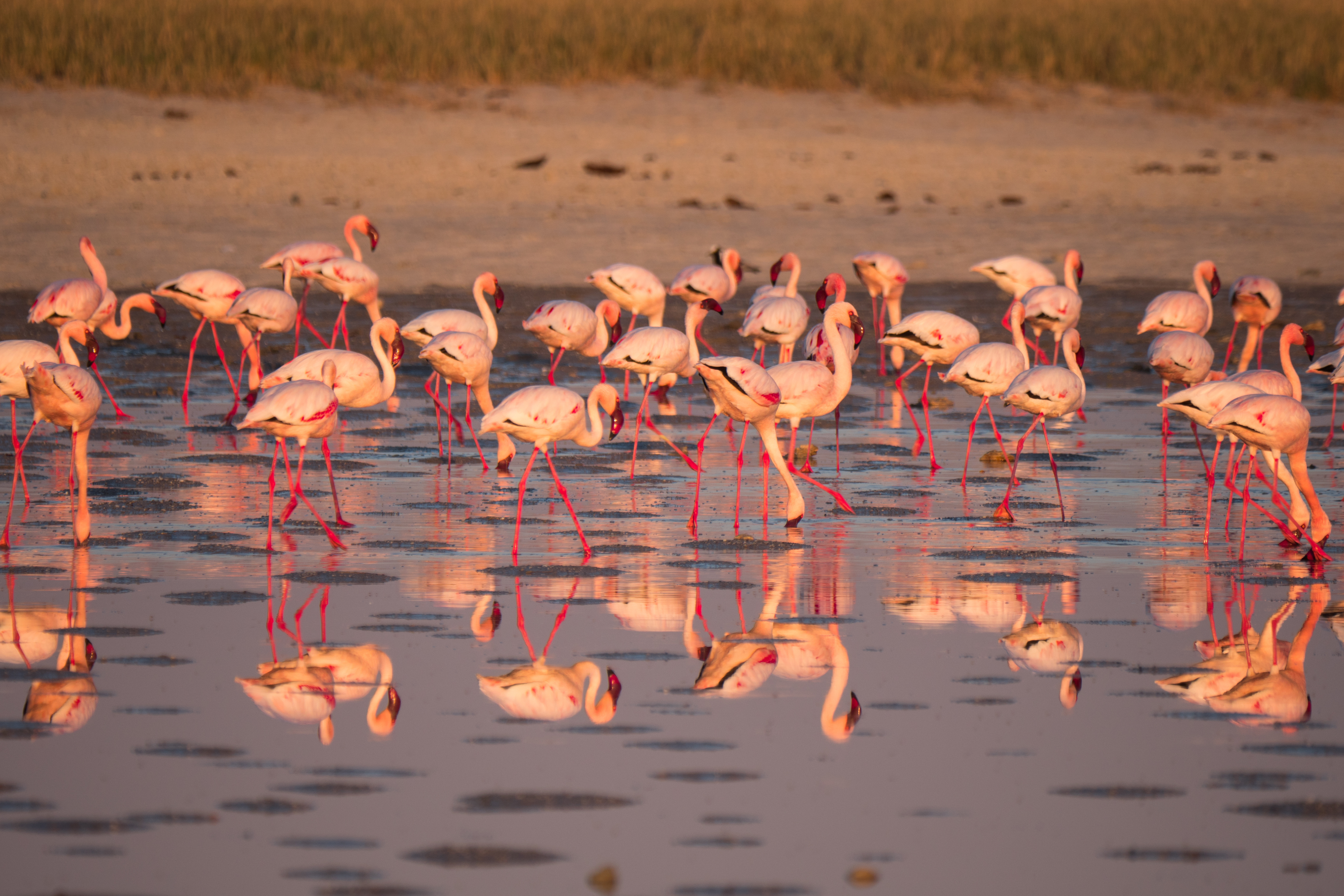 Makgadikgadi Pans National Park