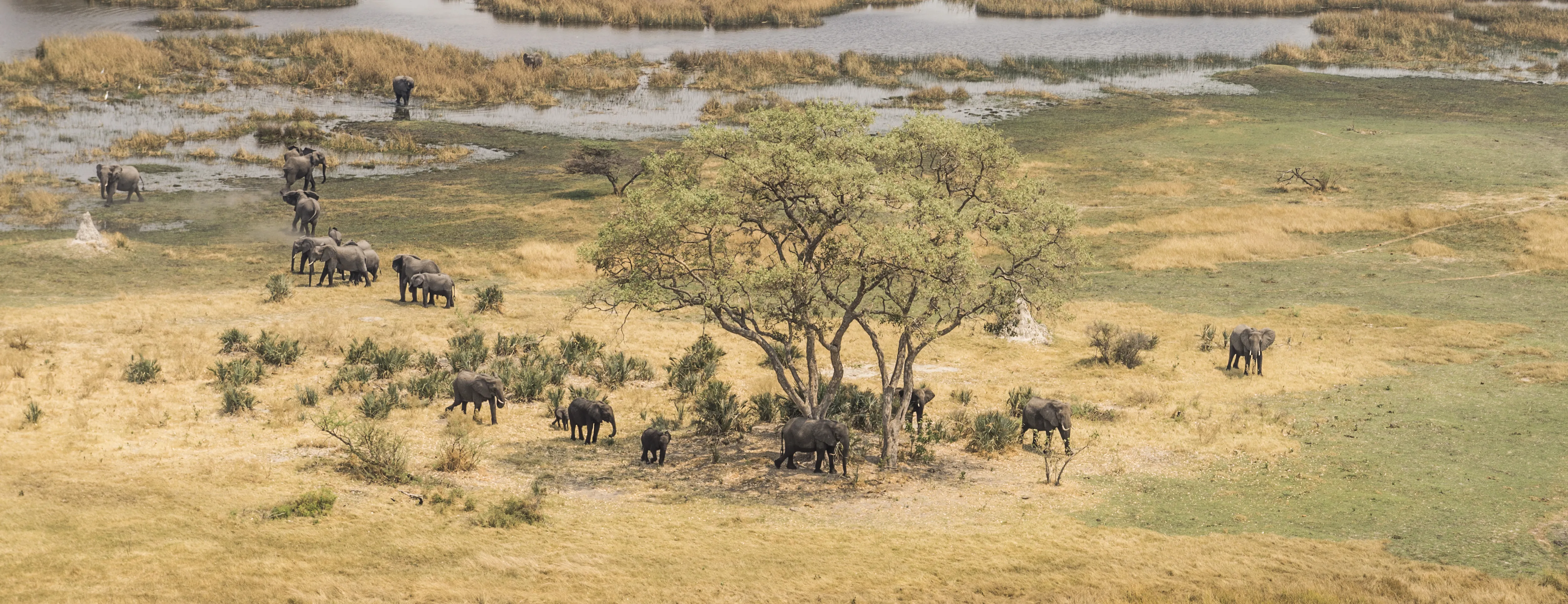 Okavango Delta