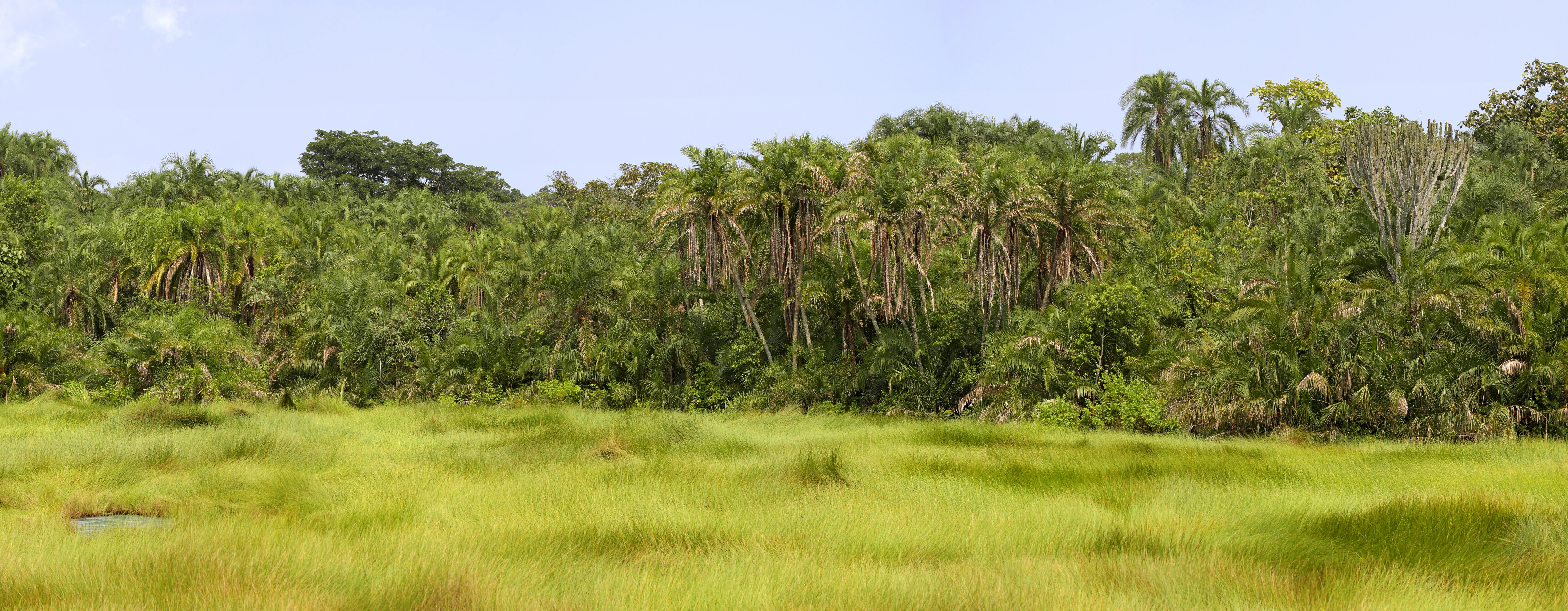 Semuliki National Park