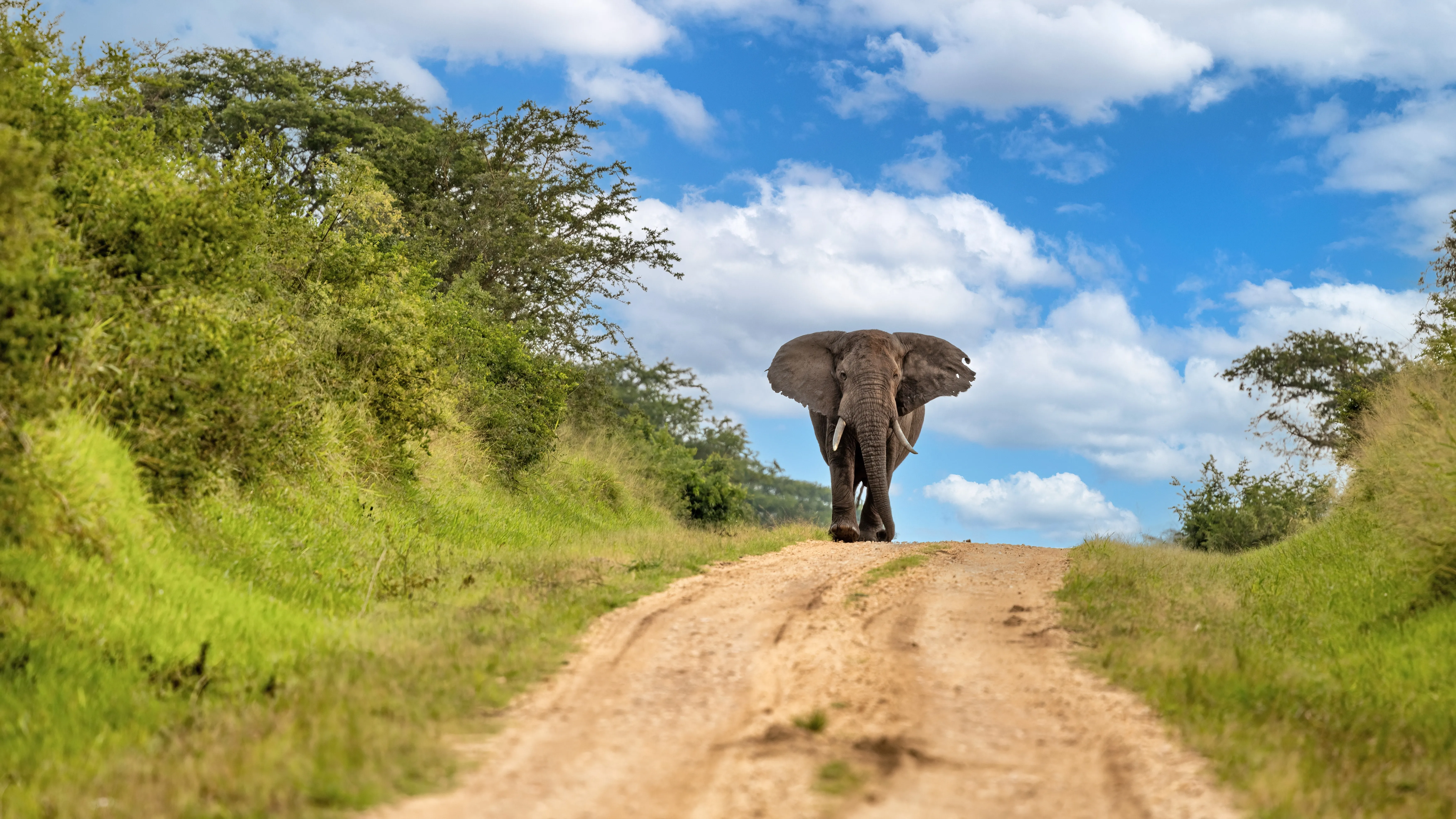 Queen Elizabeth National Park