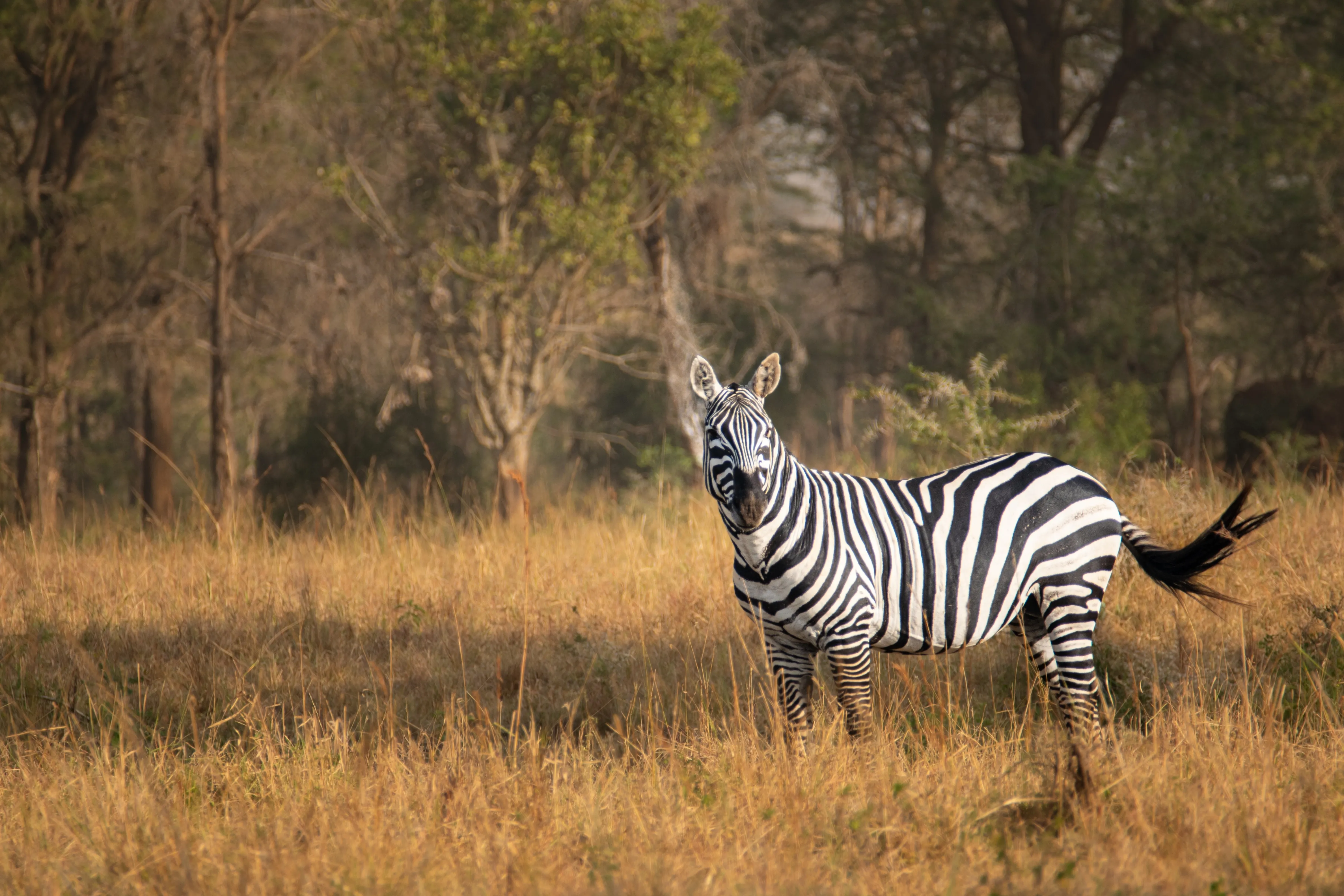 Kidepo Valley National Park