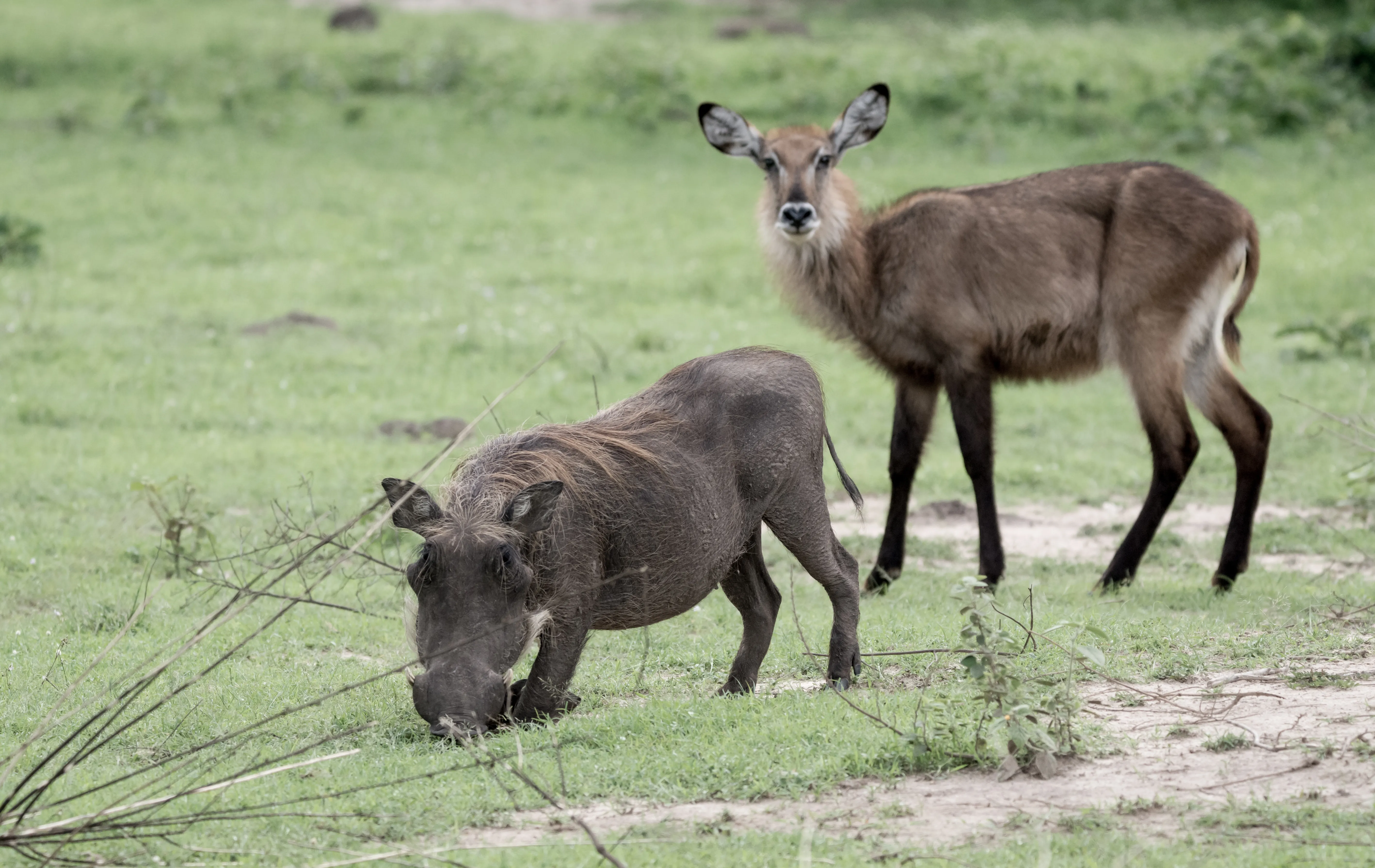 Katonga National Park