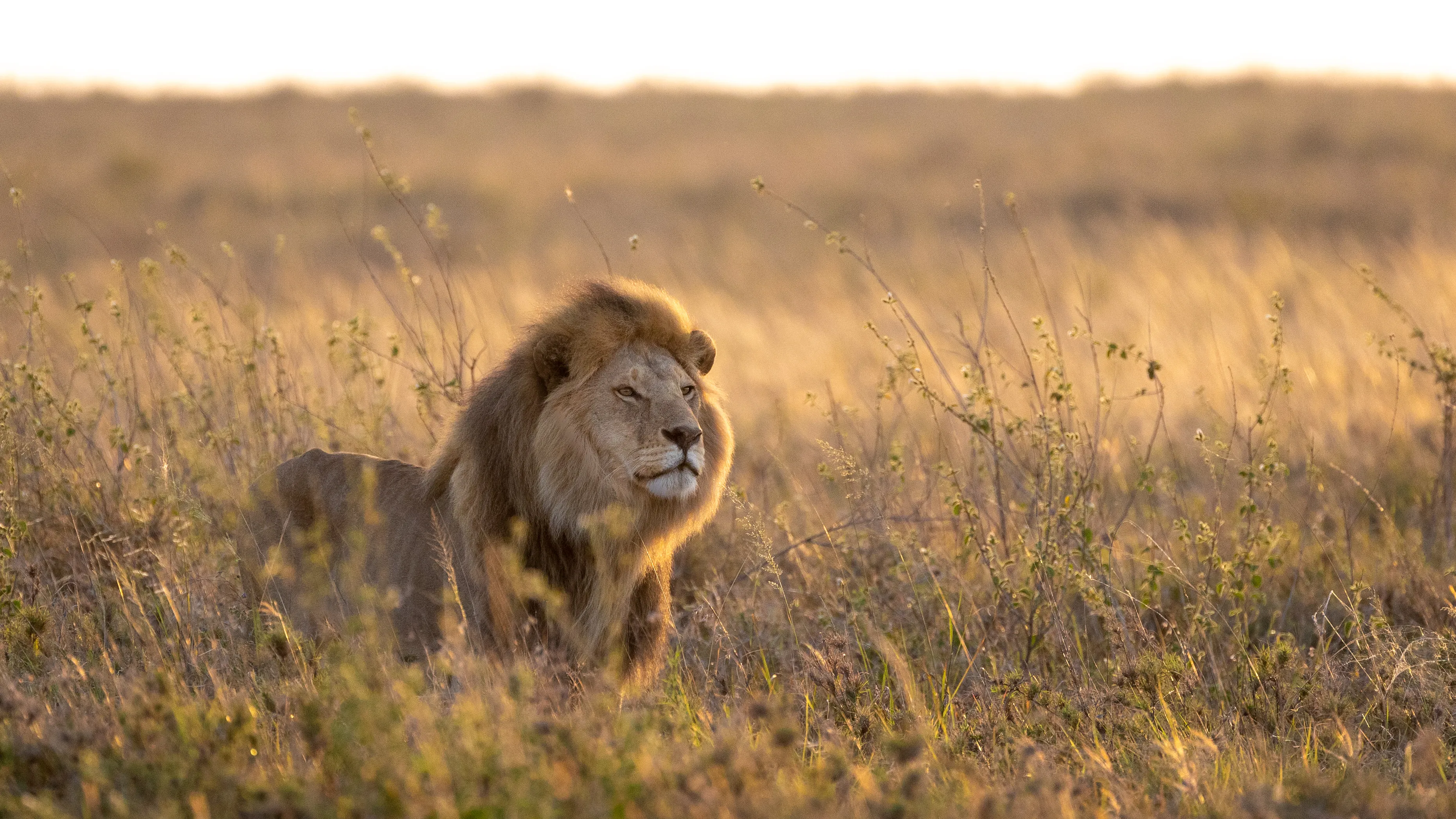 Serengeti National Park