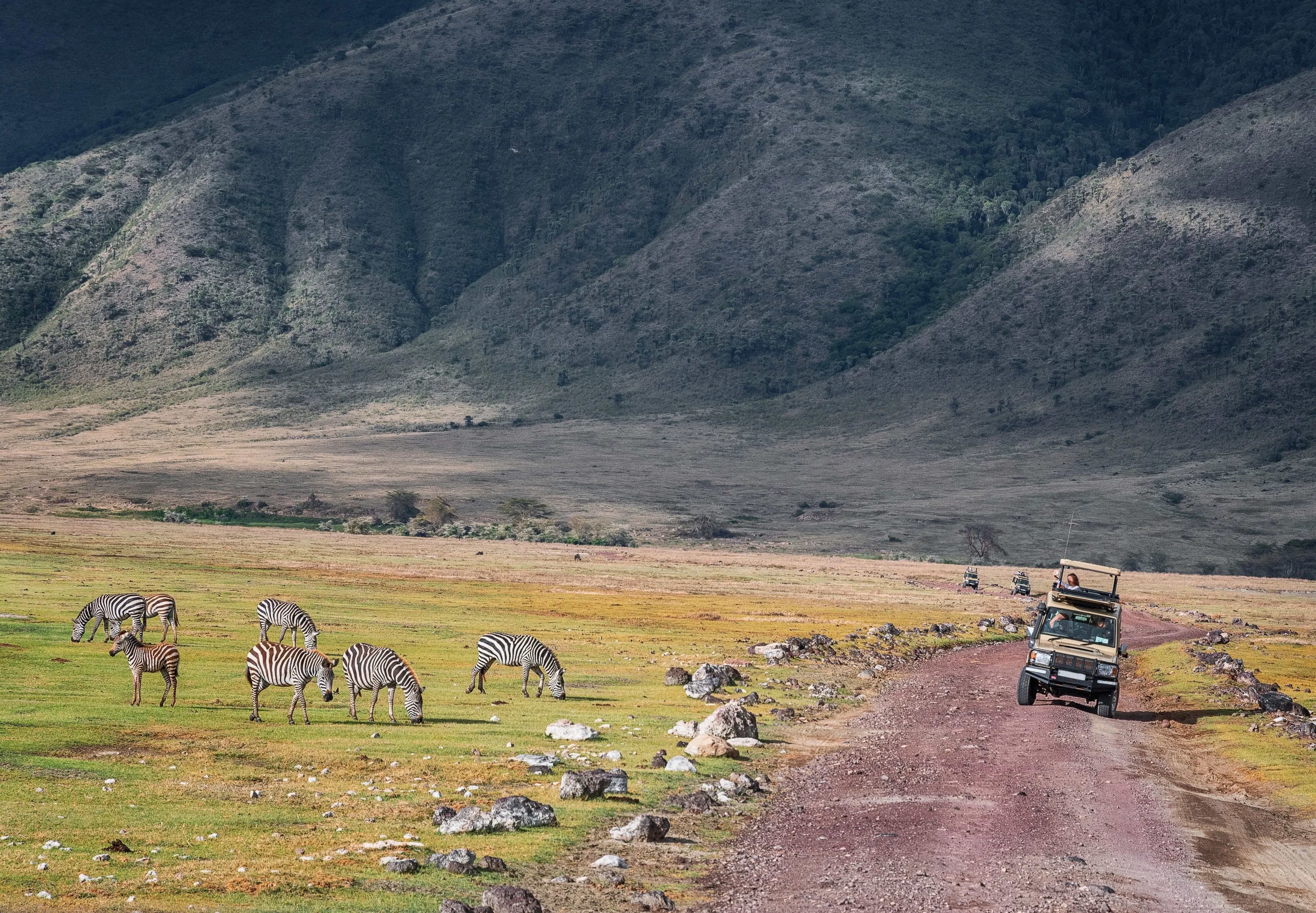 Ngorongoro Crater