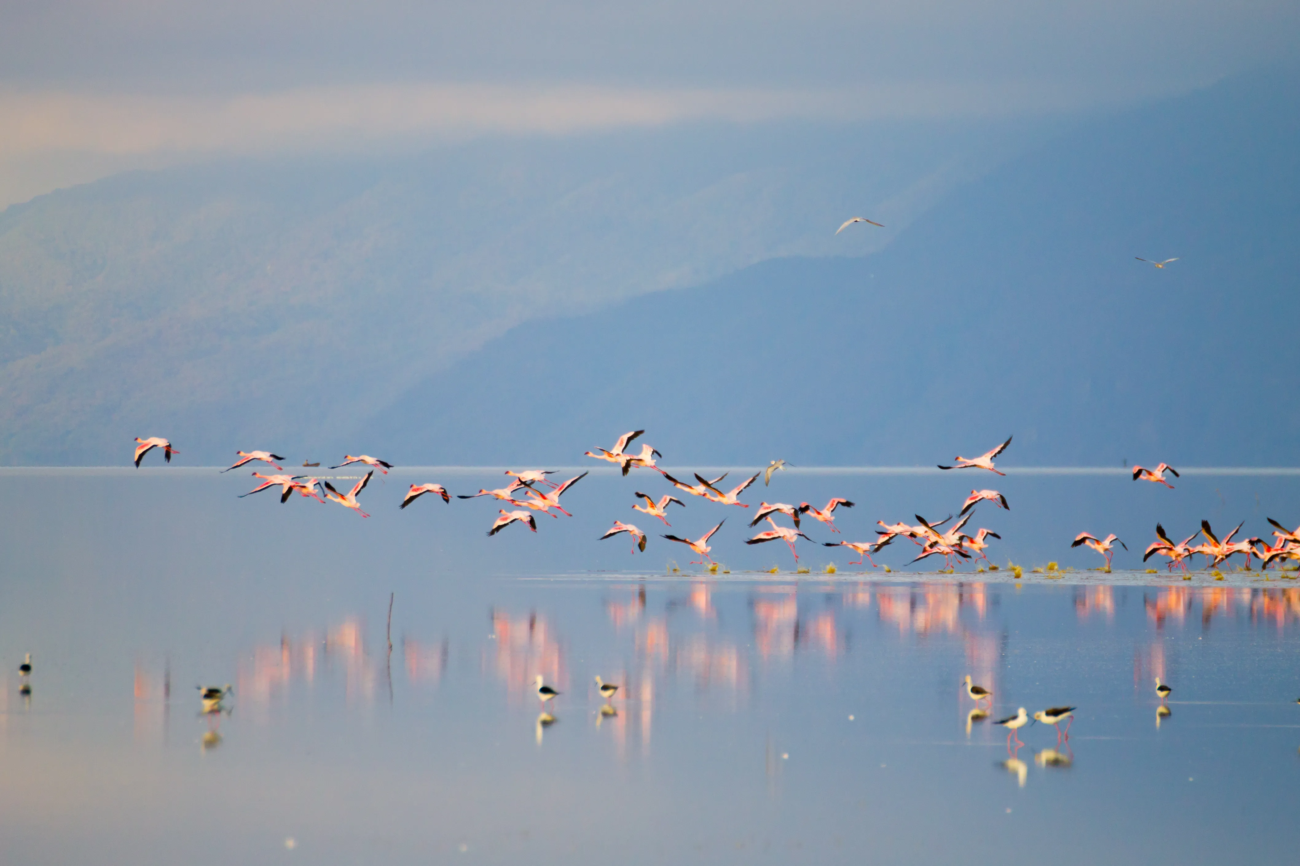 Lake Manyara National Park