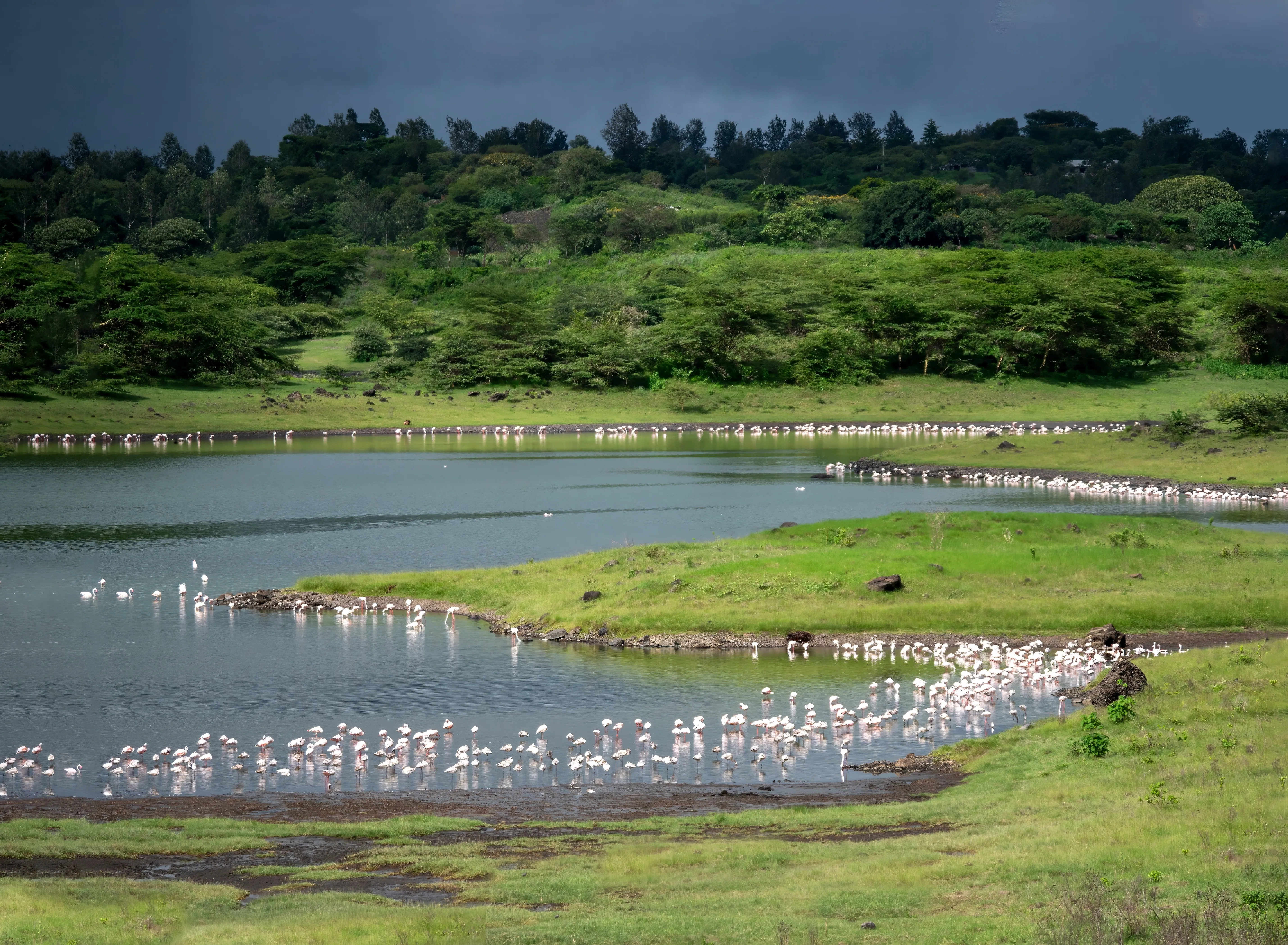 Arusha National Park
