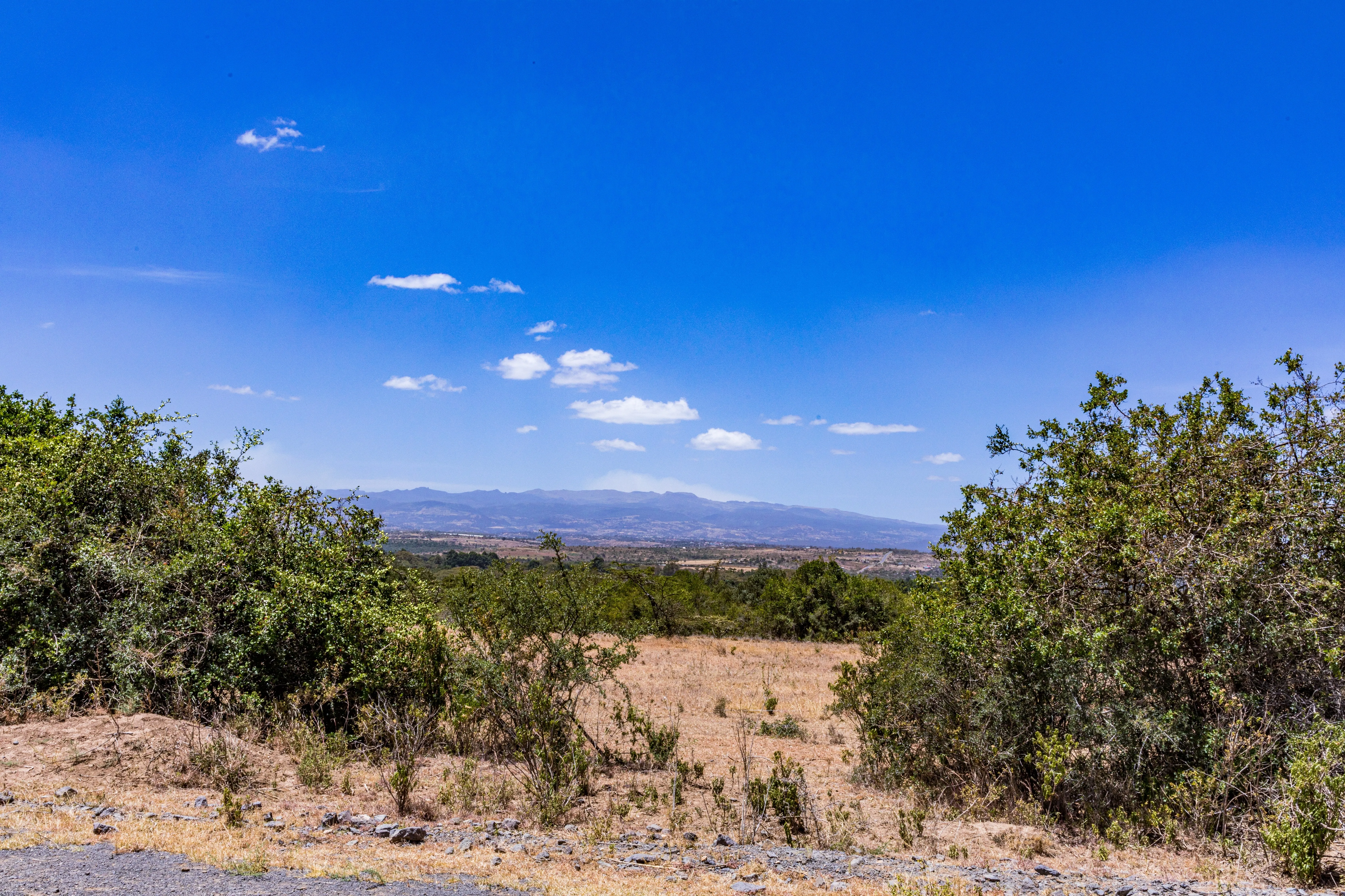 Kora National Park
