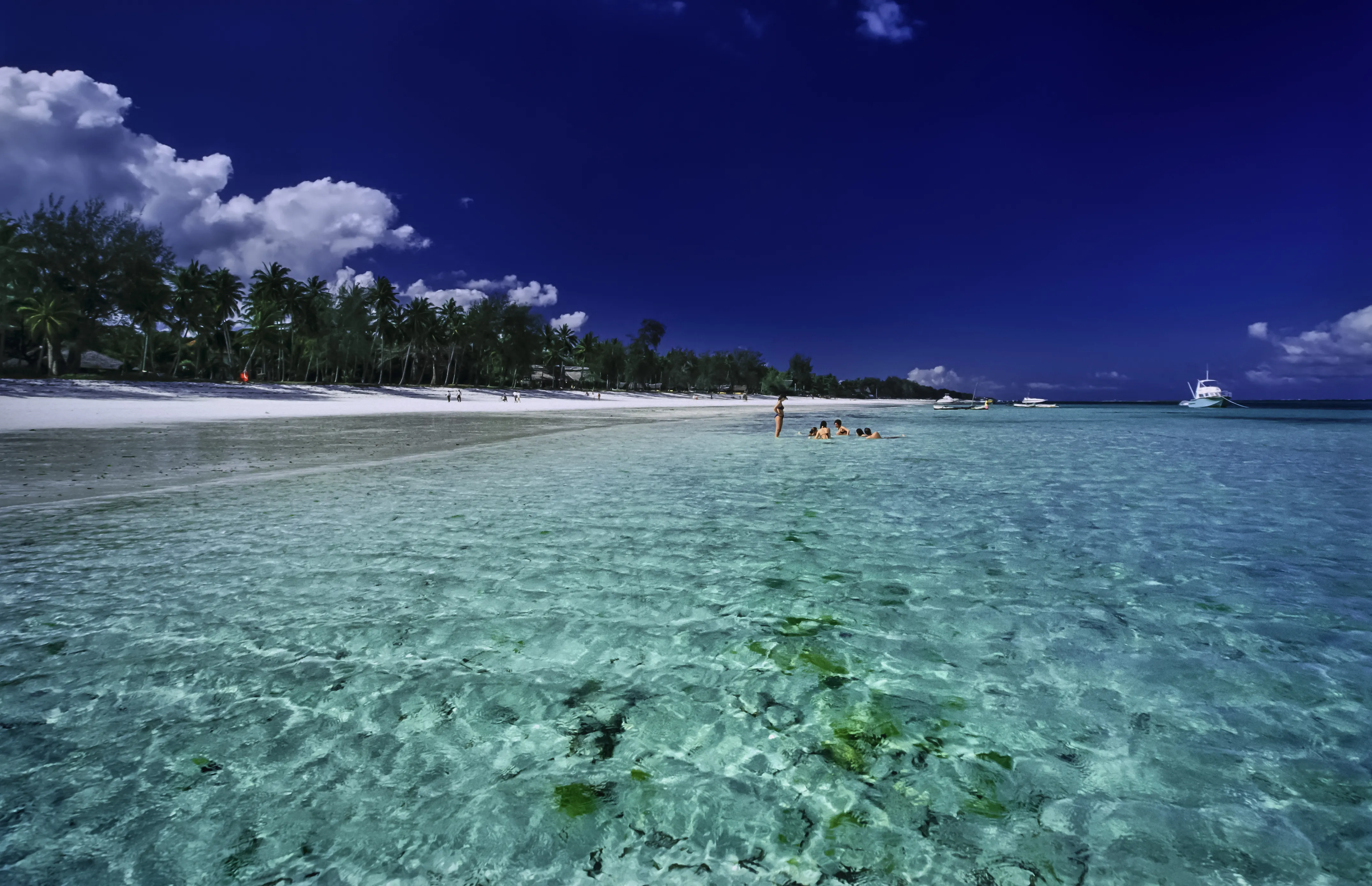 Malindi Marine National Park