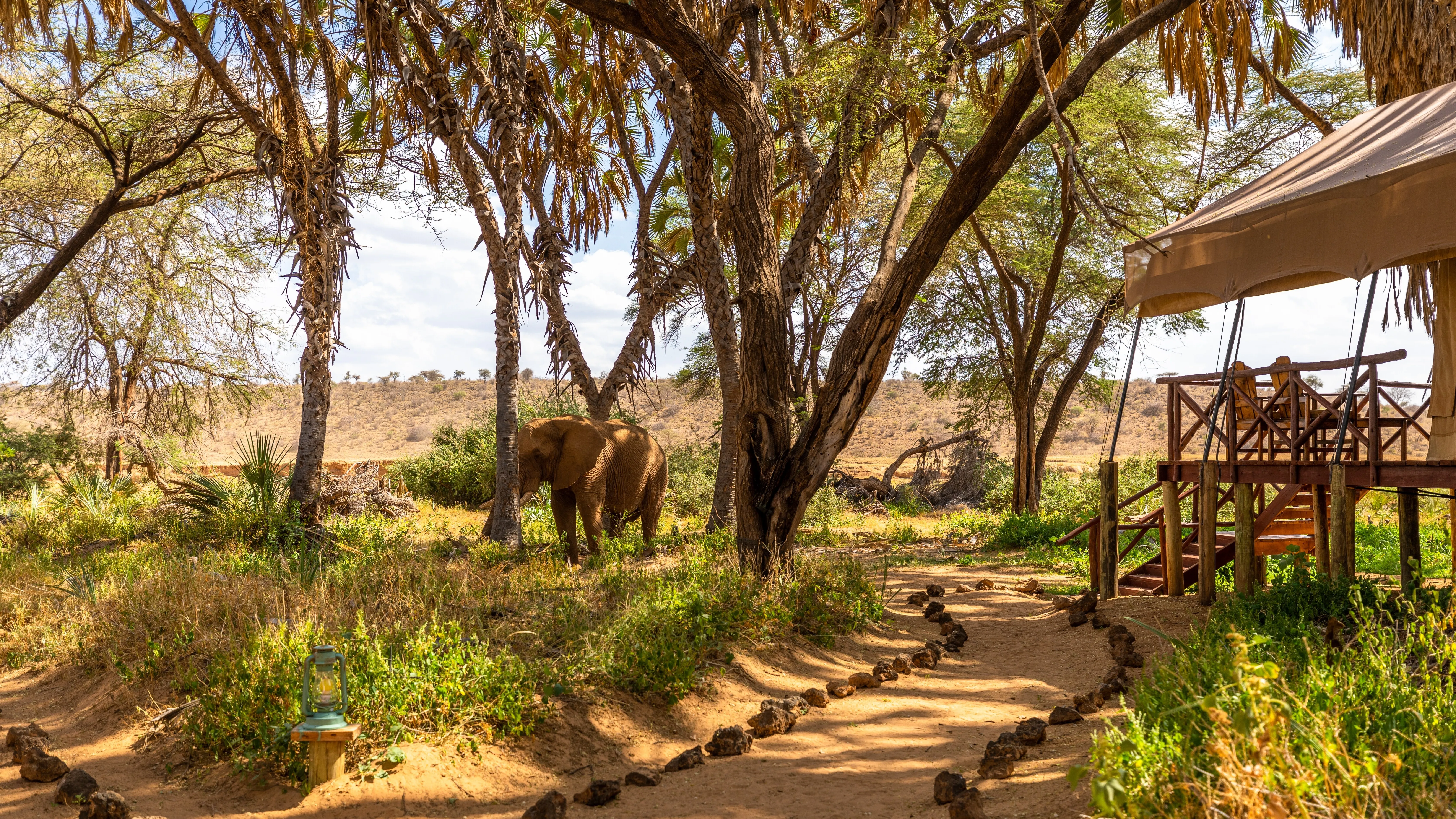 Samburu National Reserve