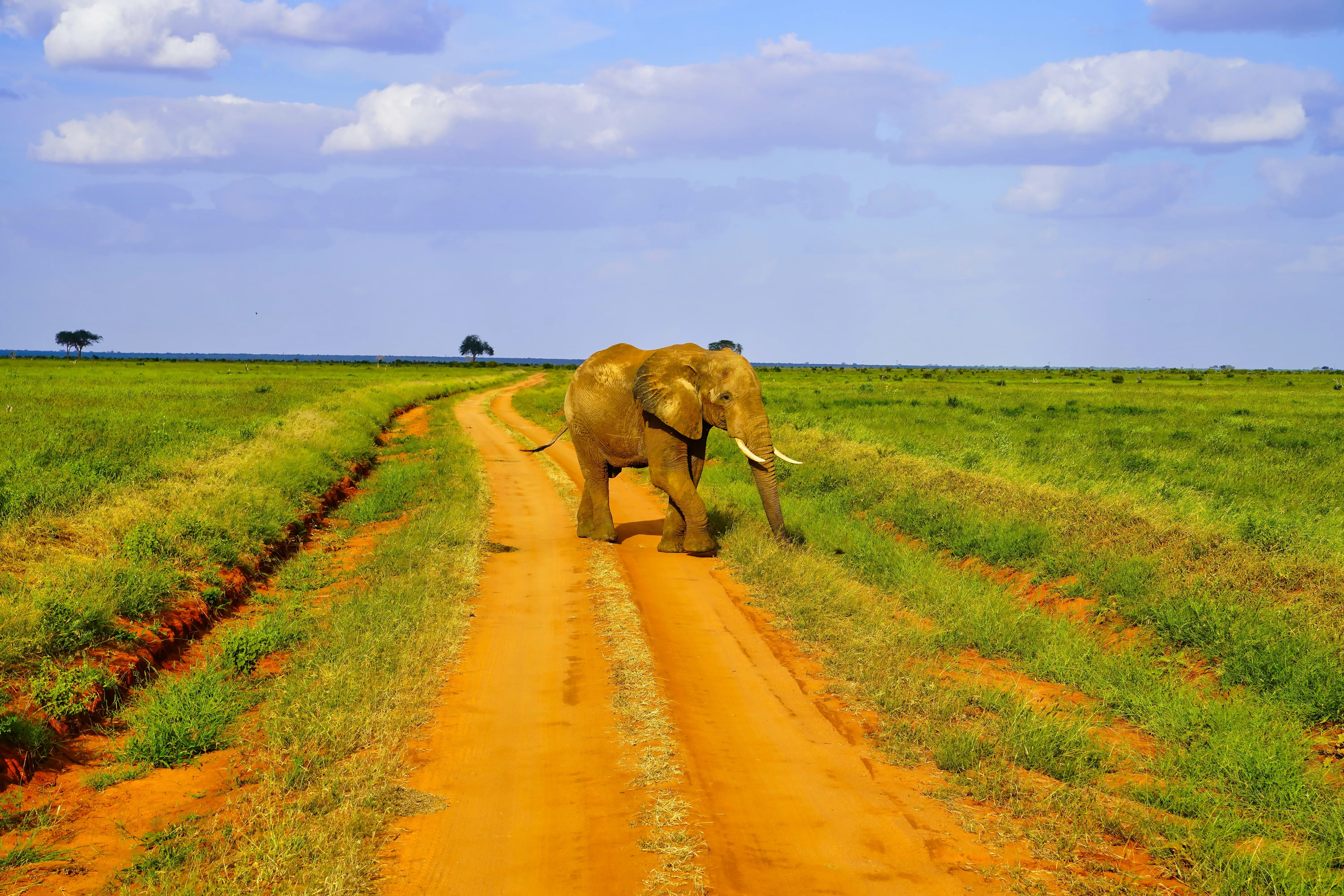 Tsavo East National Park