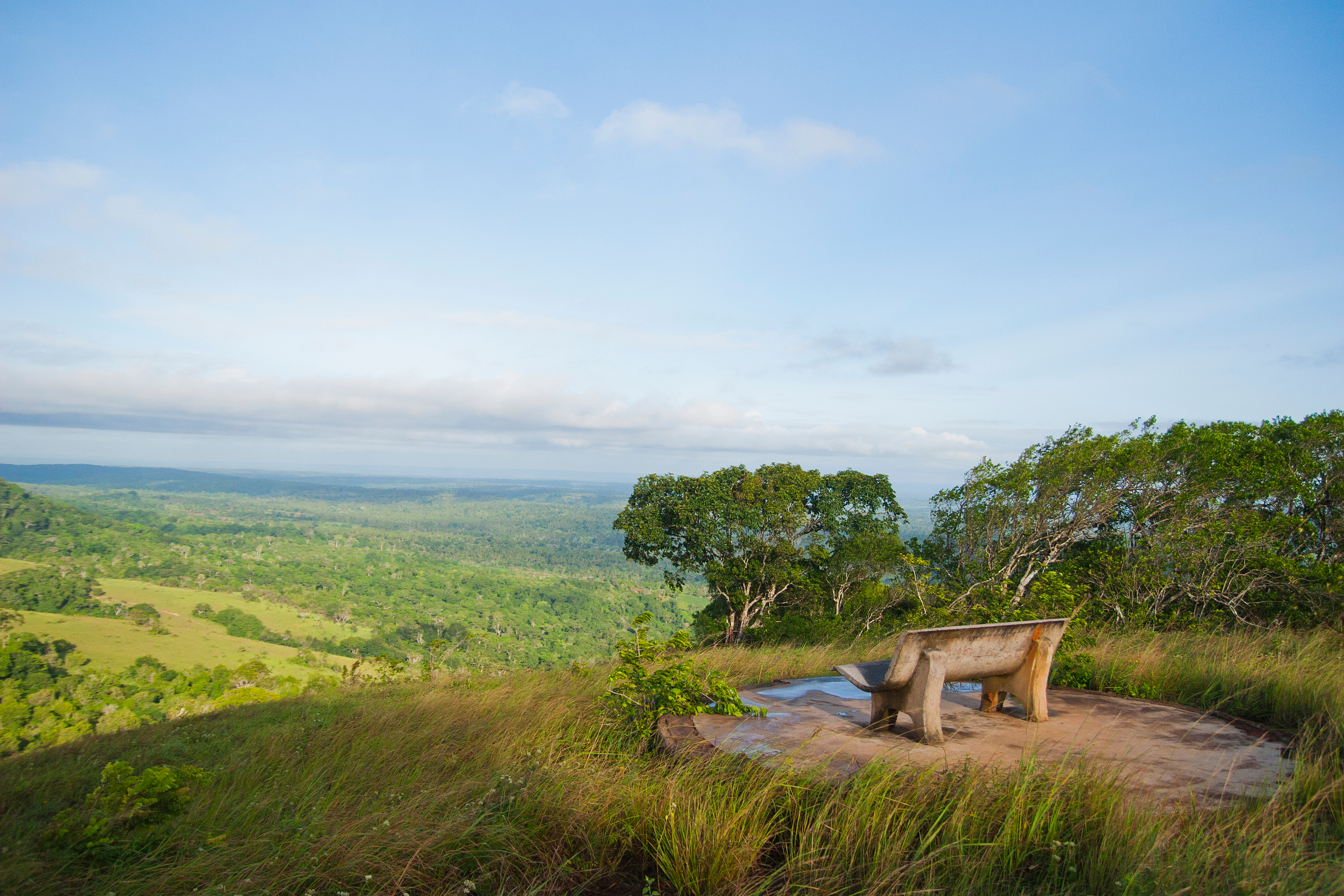 Reserva Nacional Shimba Hills