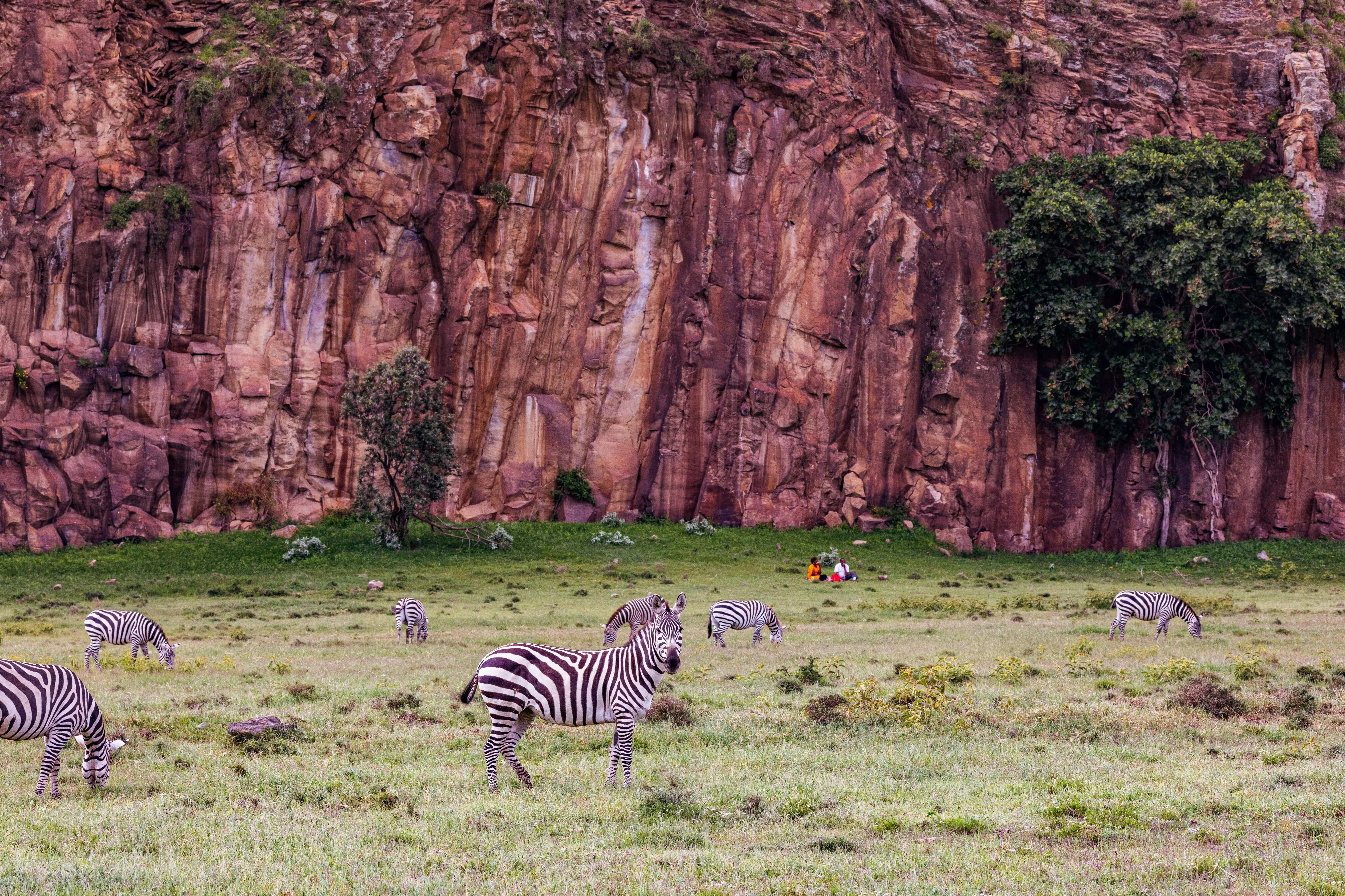 Hell's Gate National Park