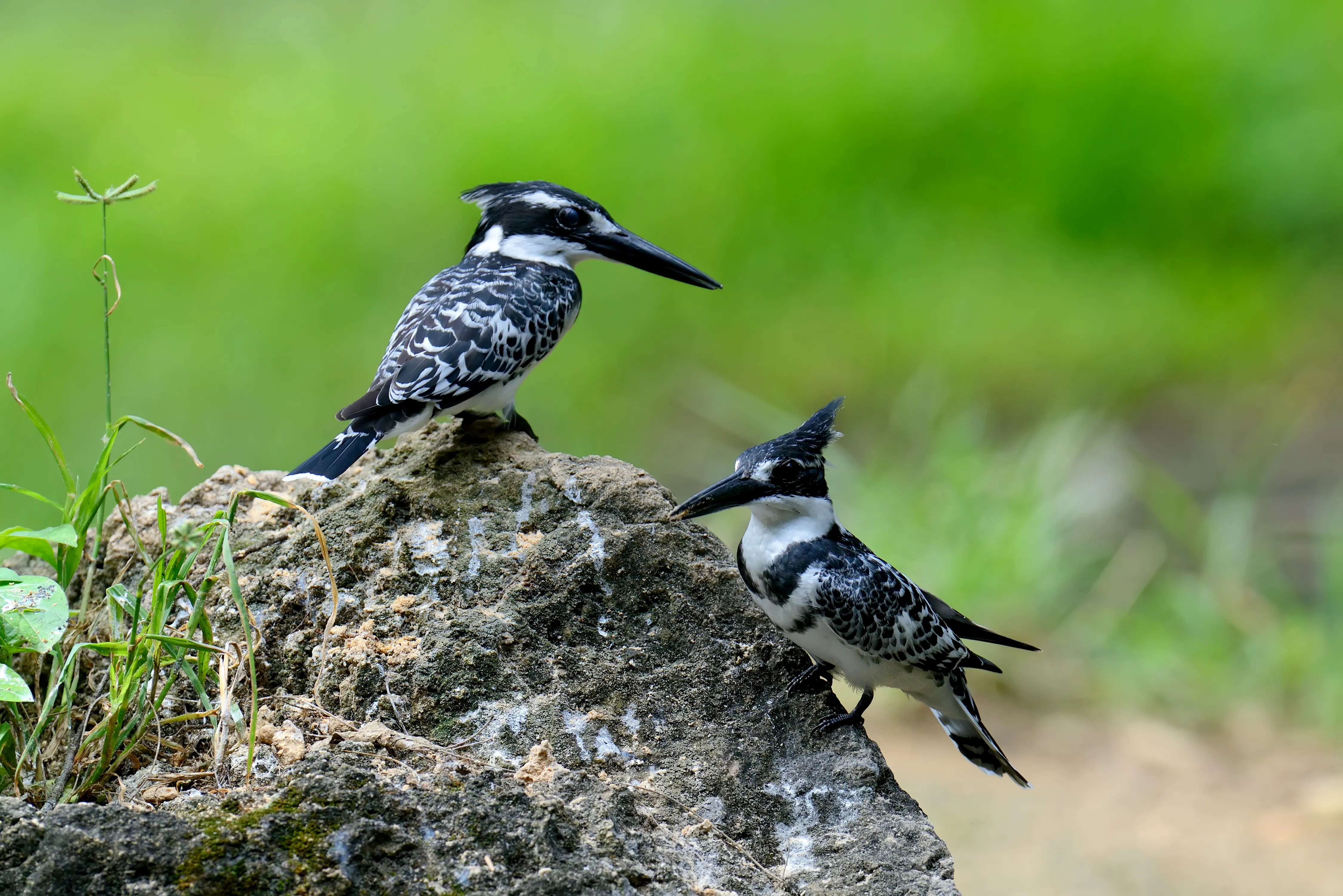Ruma National Park