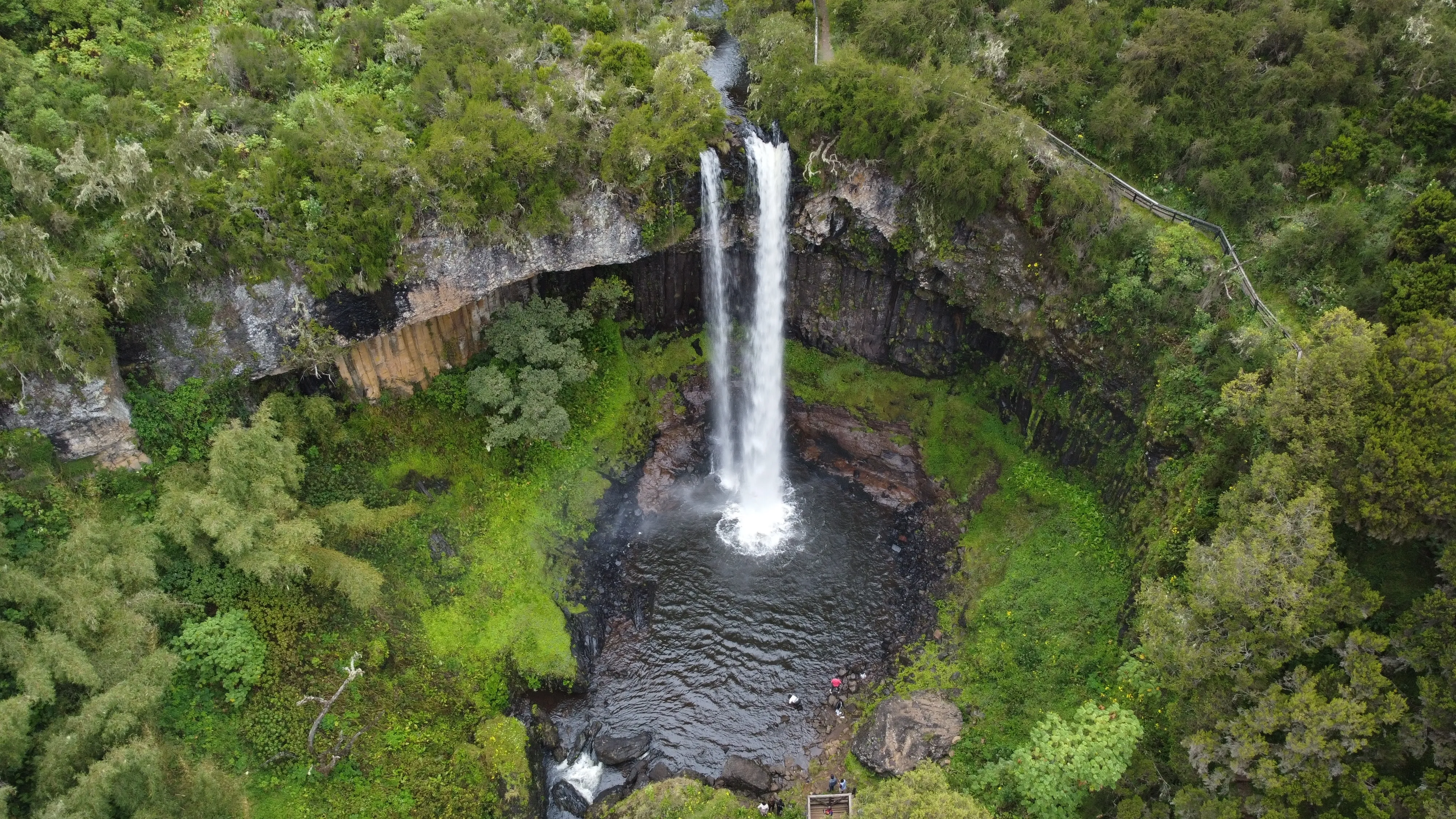 Aberdare National Park