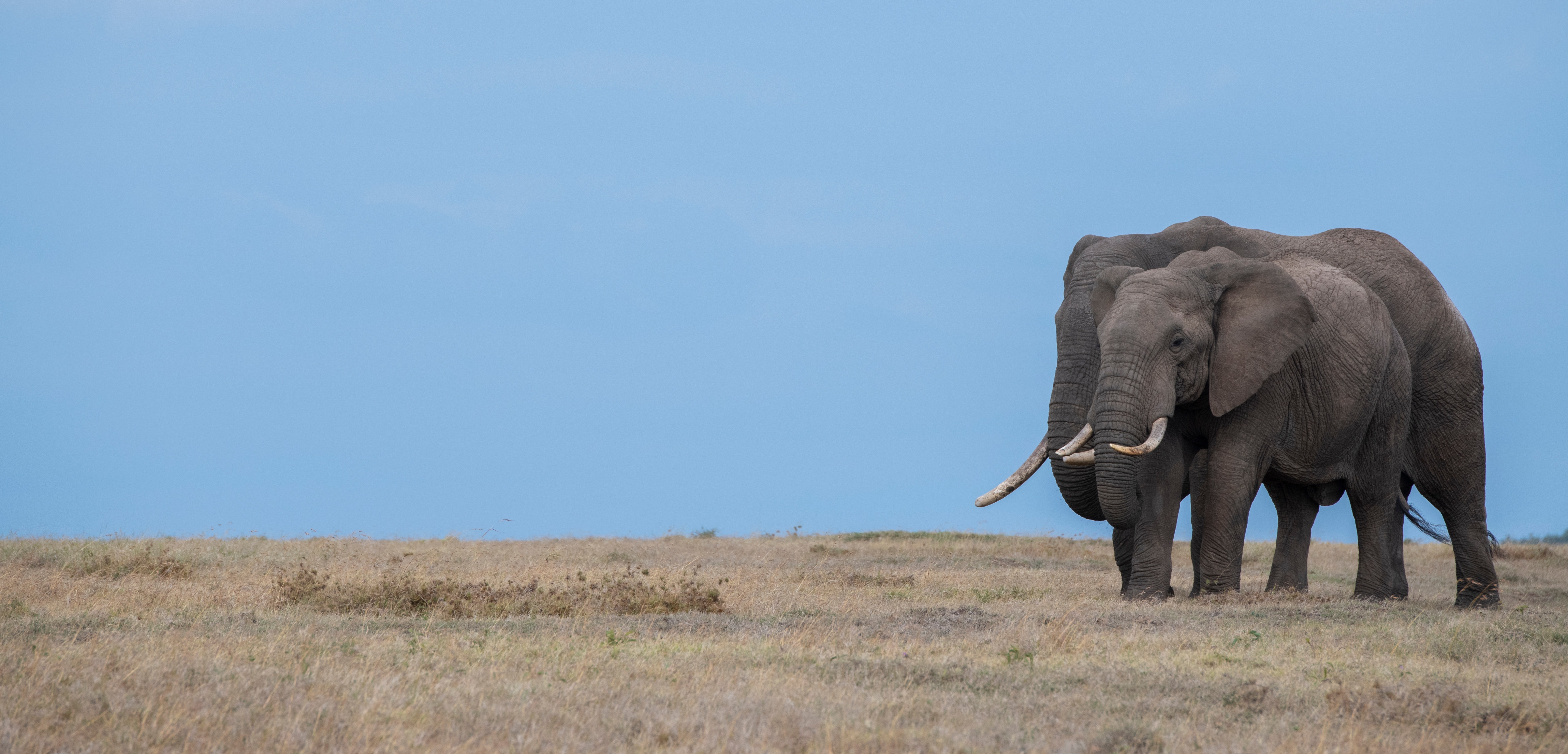 Laikipia Plateau