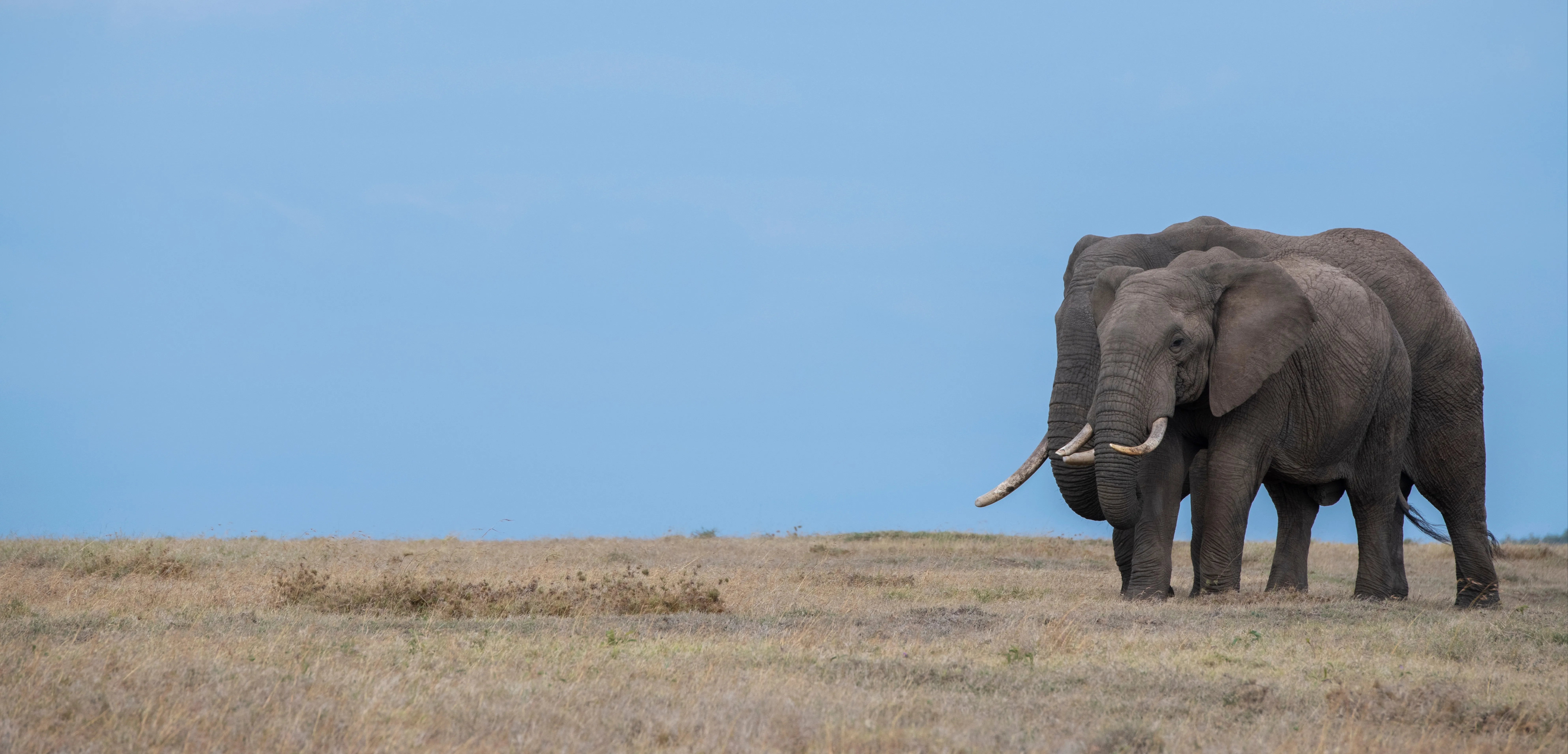 Laikipia Plateau