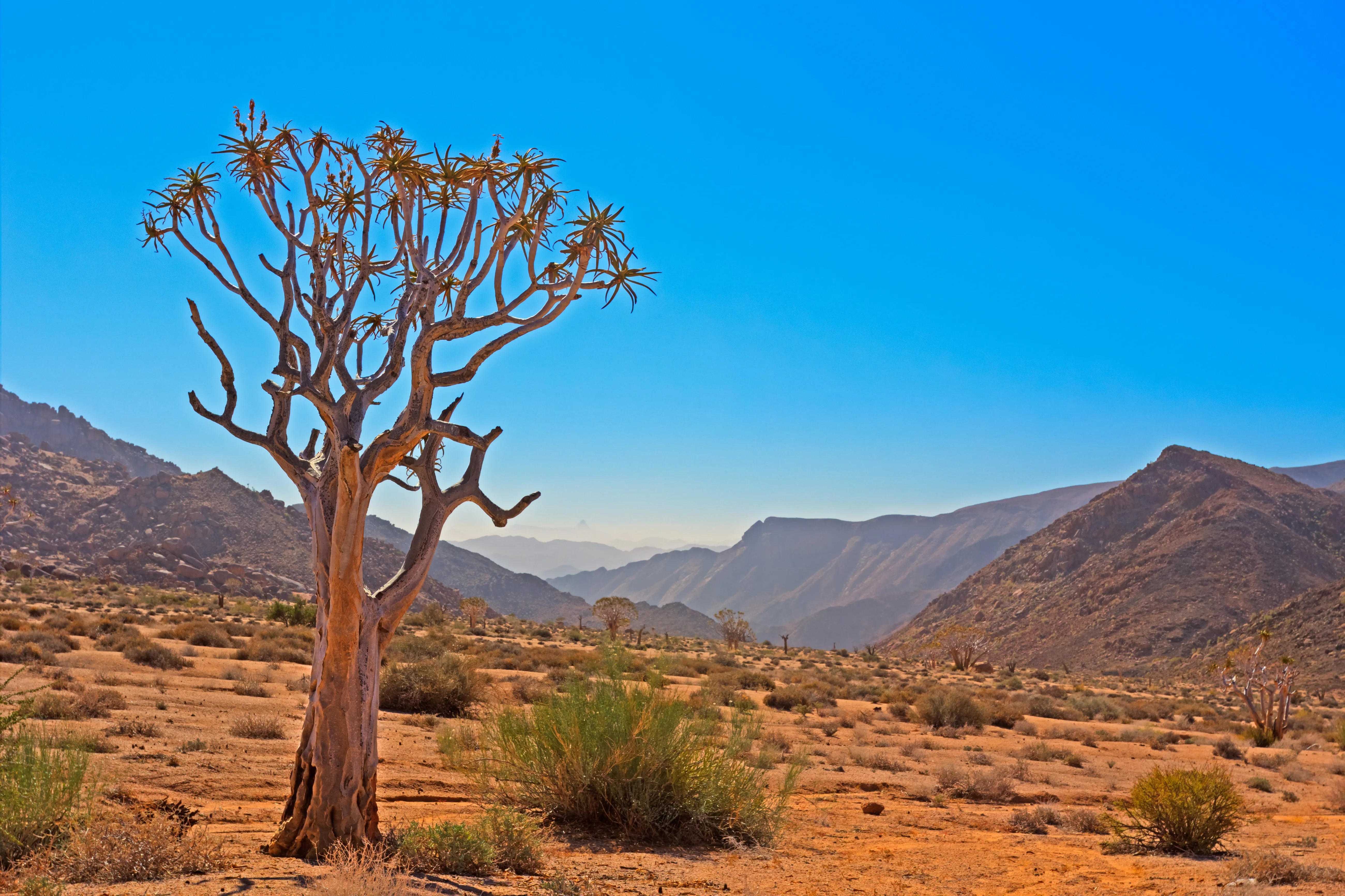 |Ai-|Ais/Richtersveld Transfrontier Park