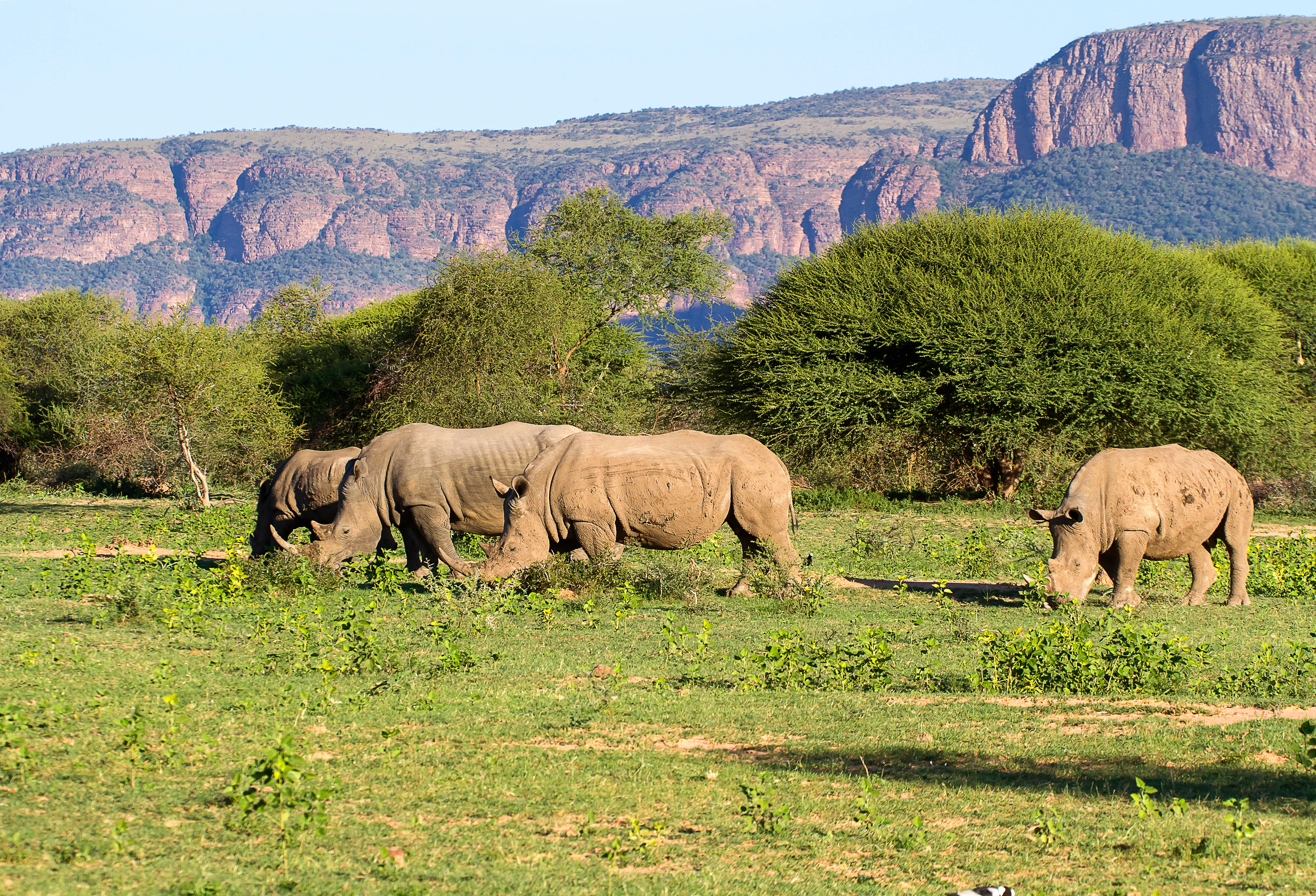 Marakele National Park